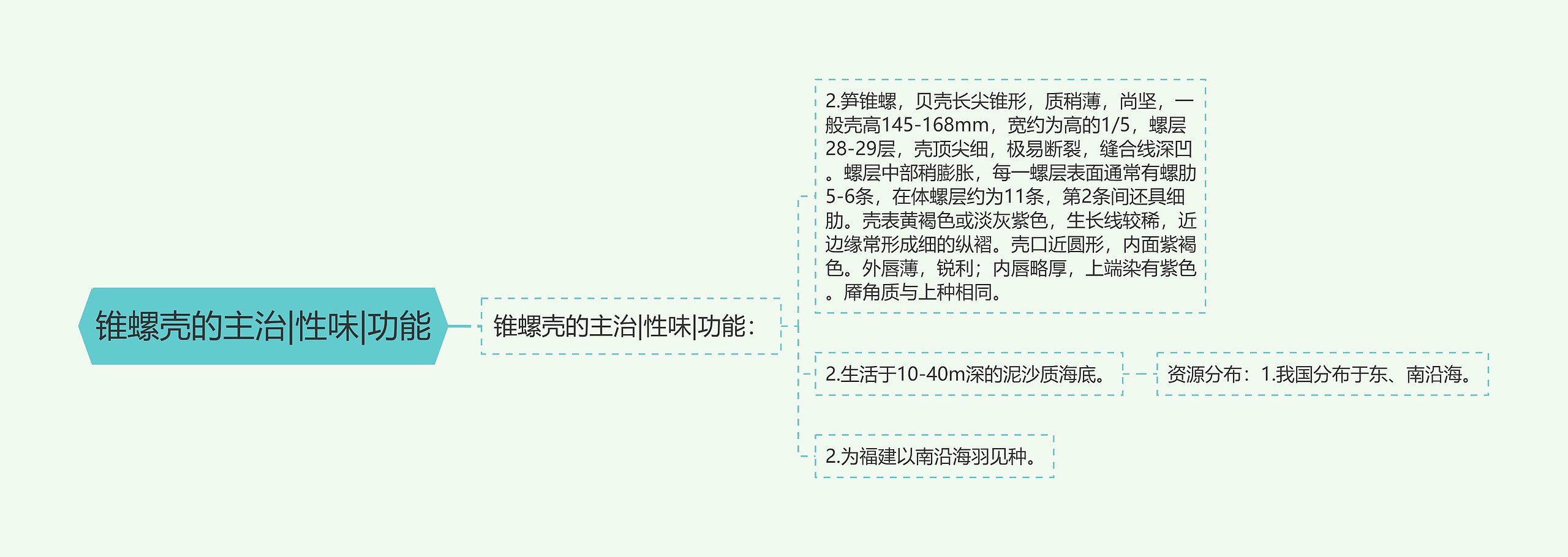 锥螺壳的主治|性味|功能思维导图