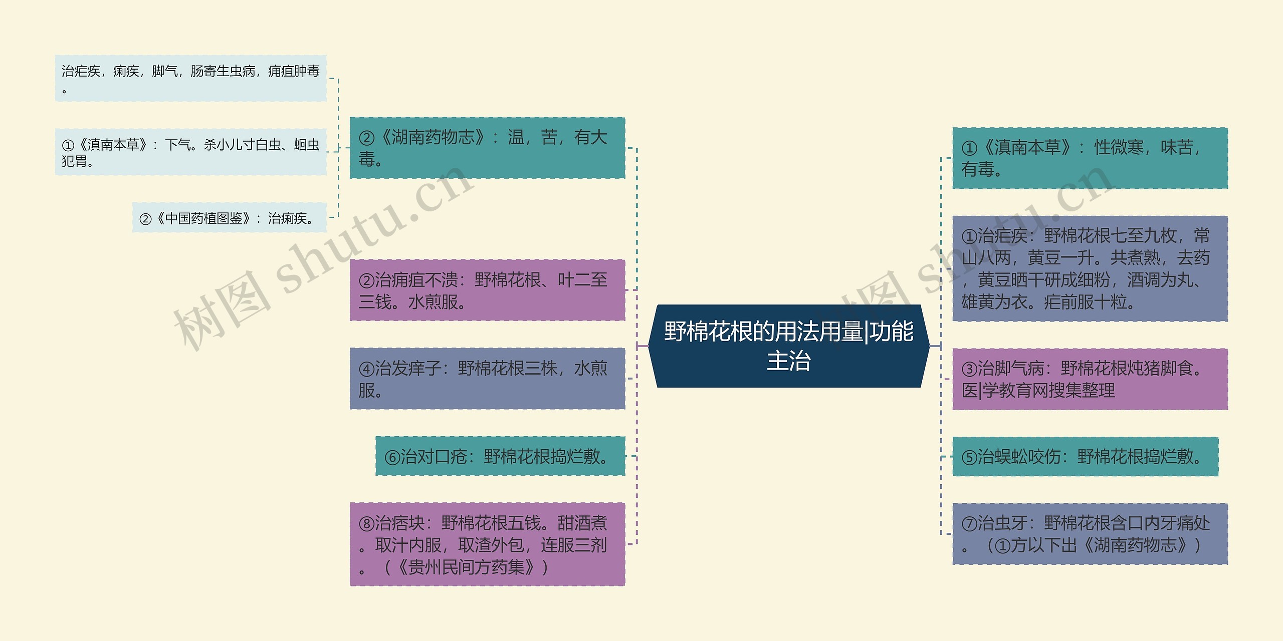 野棉花根的用法用量|功能主治思维导图