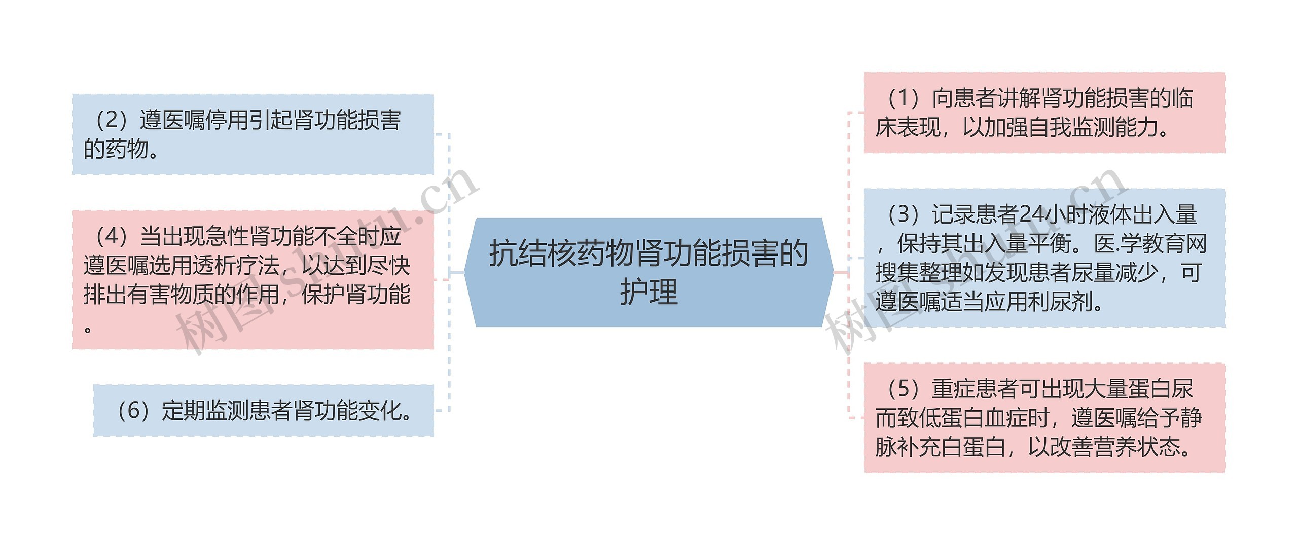 抗结核药物肾功能损害的护理思维导图