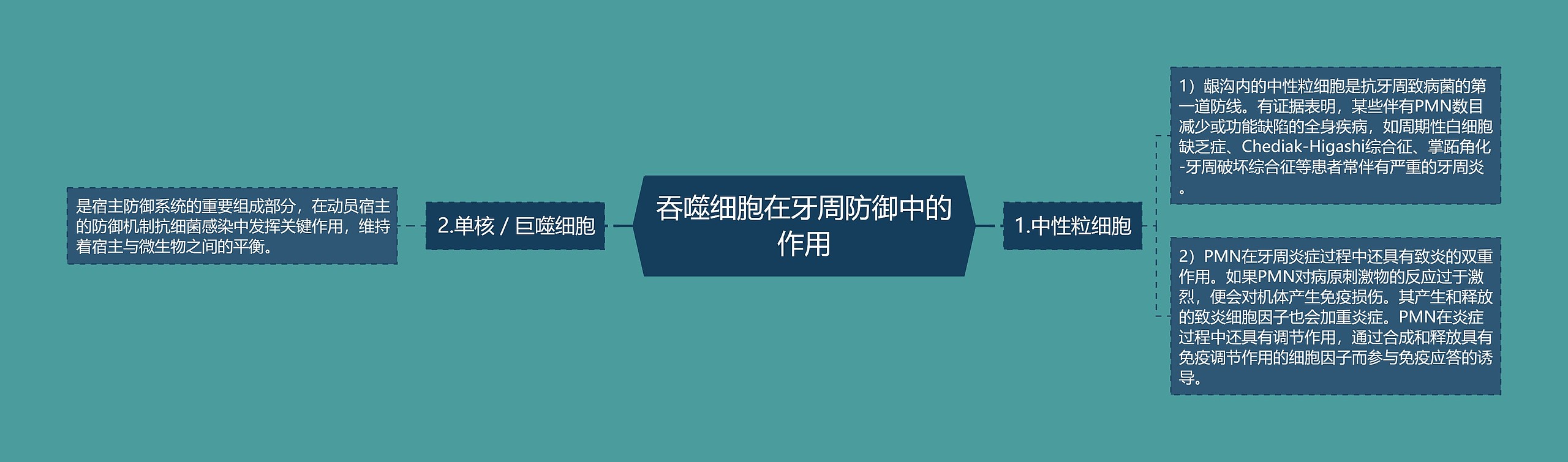吞噬细胞在牙周防御中的作用 吞噬细胞在牙周防御中的作用