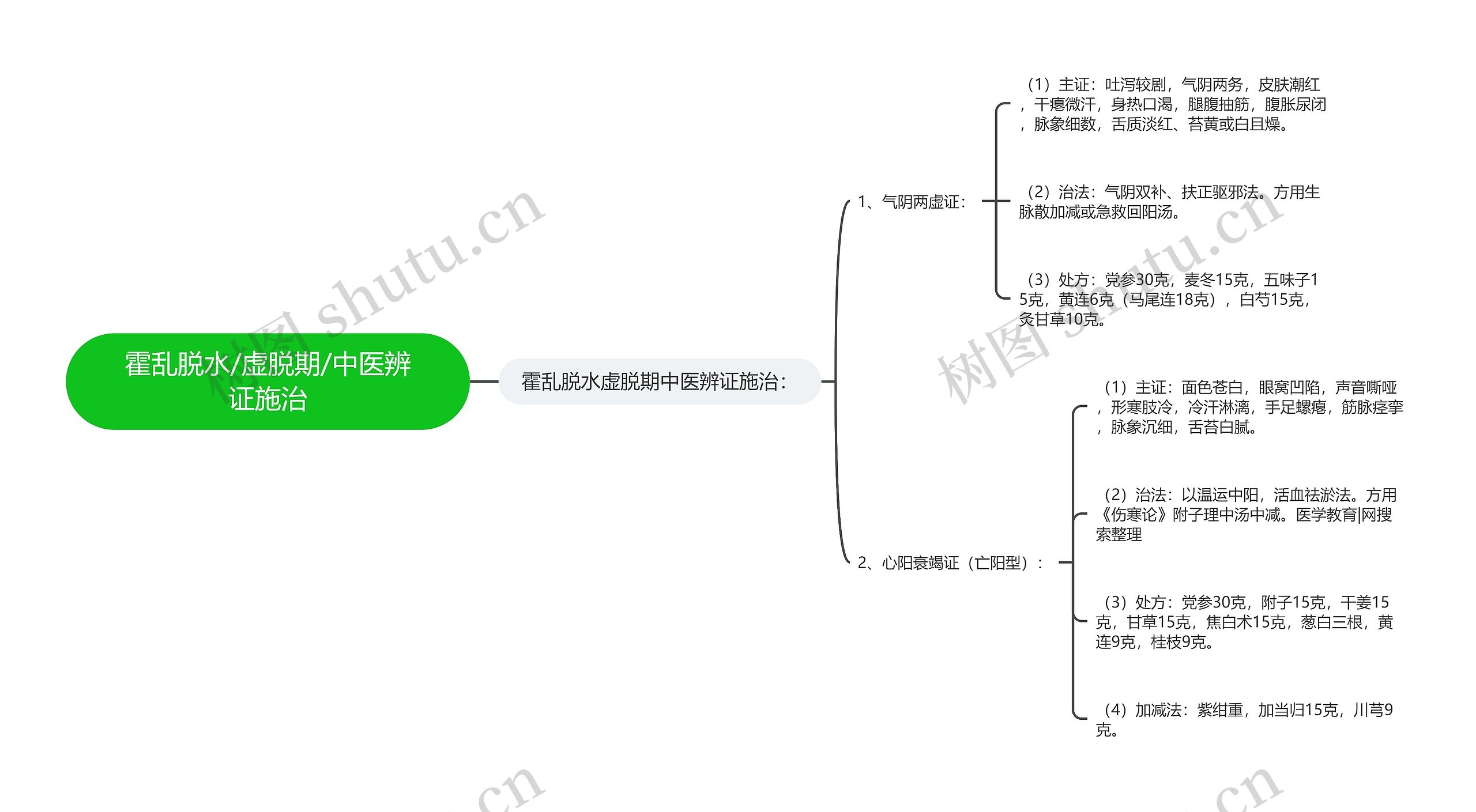 霍乱脱水/虚脱期/中医辨证施治