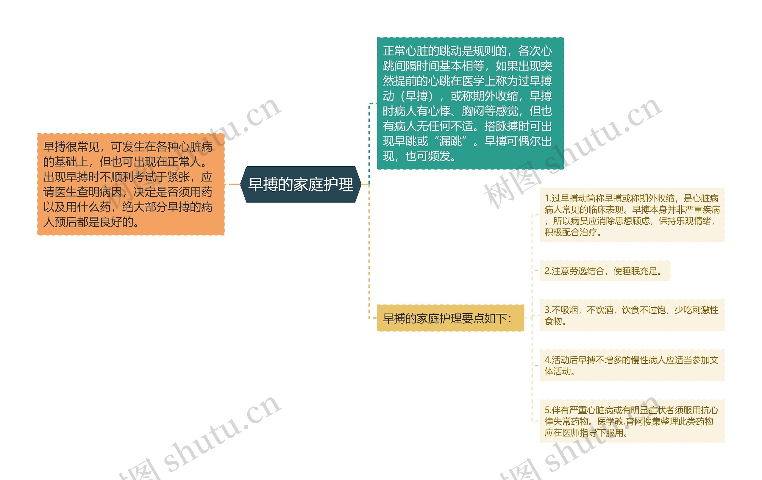 早搏的家庭护理思维导图