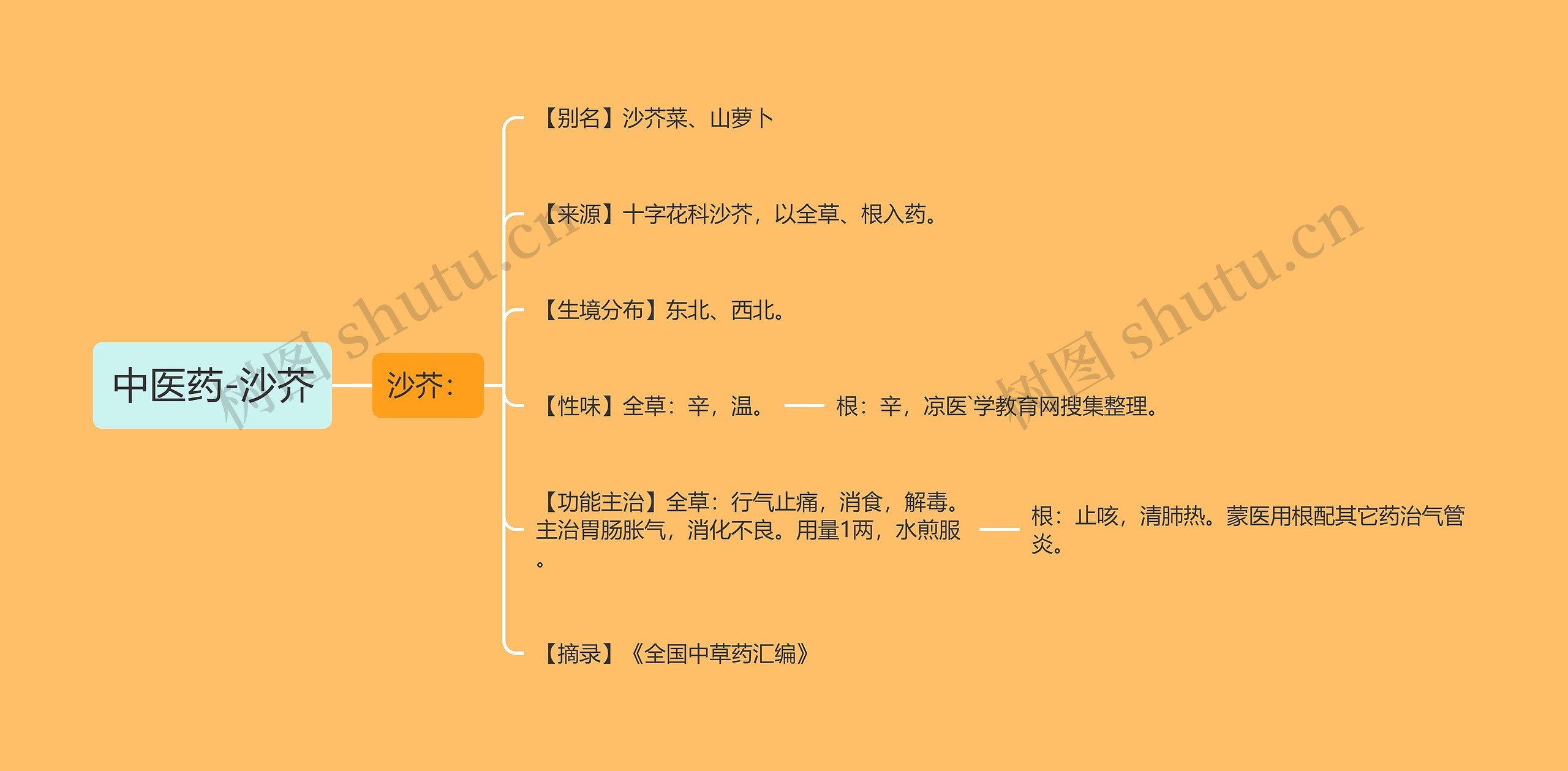 中医药-沙芥思维导图