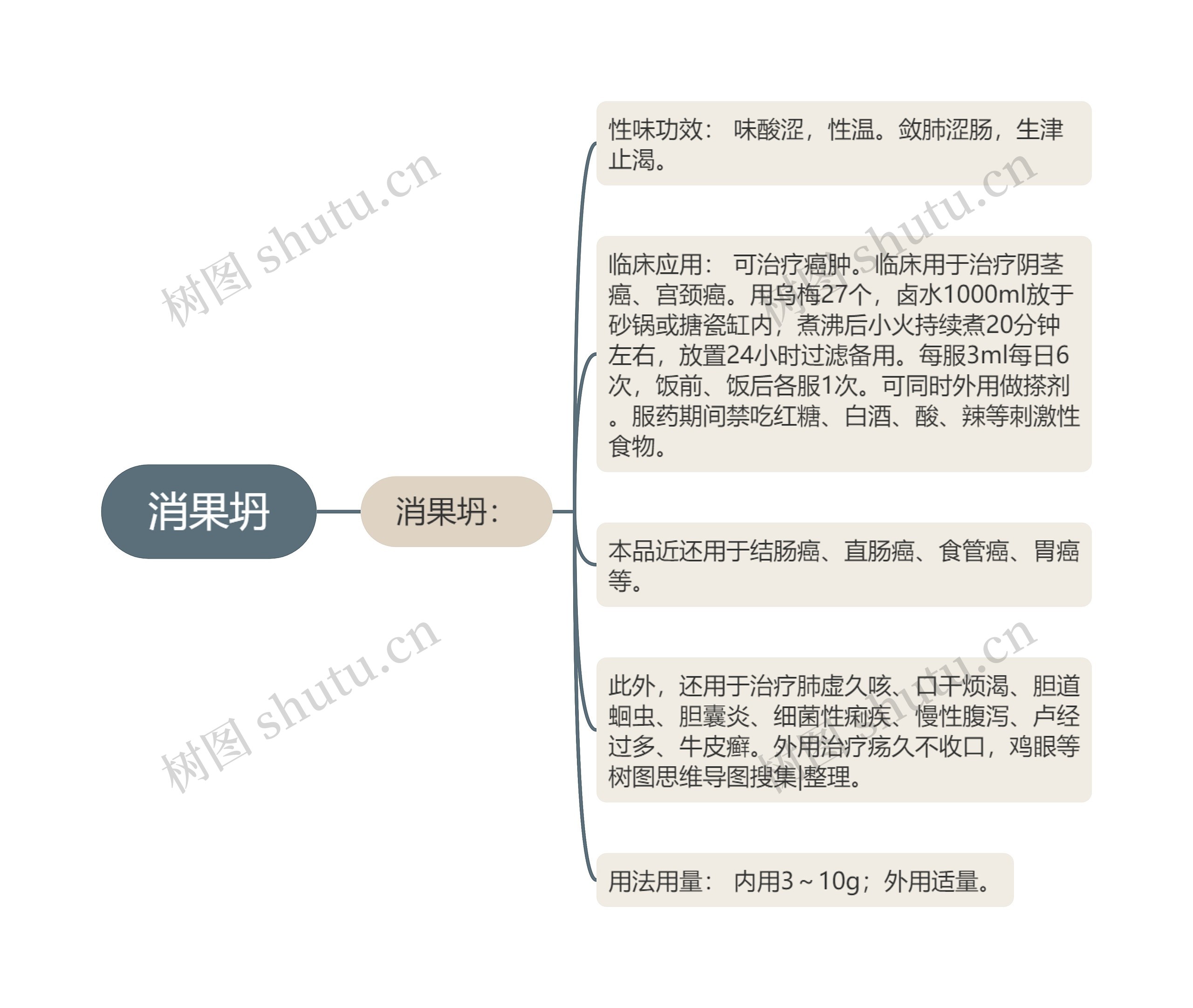 消果坍思维导图