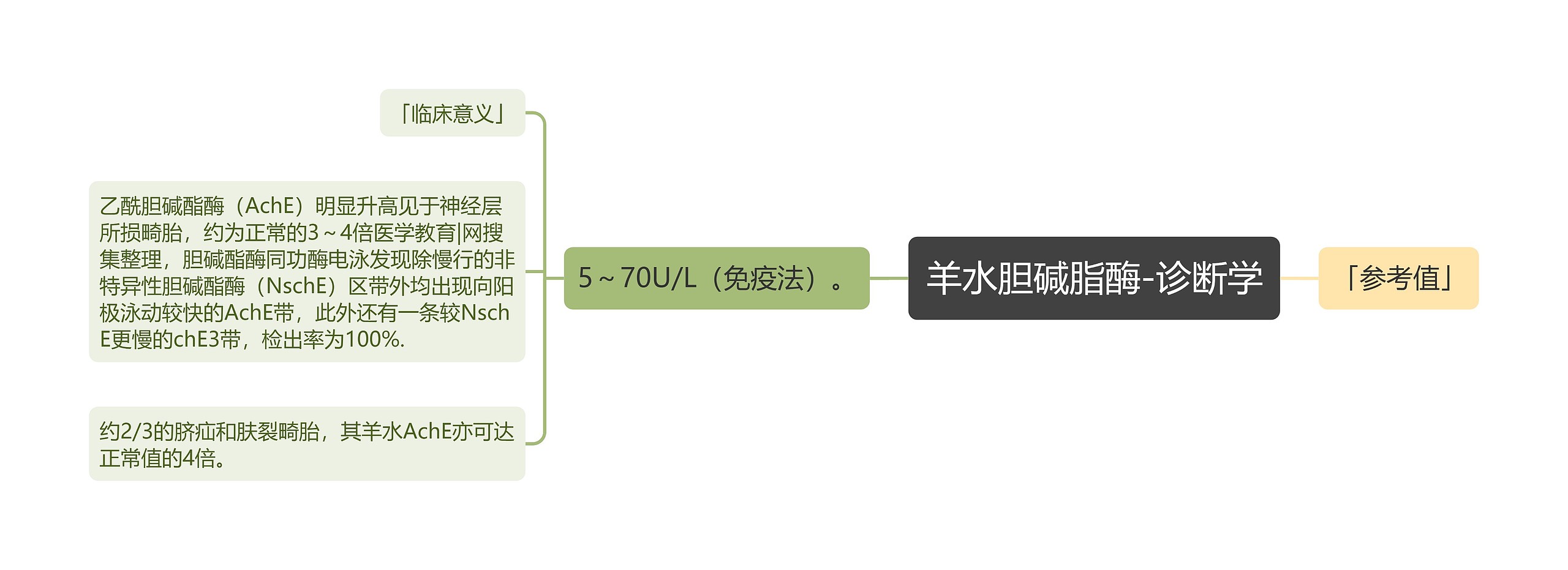 羊水胆碱脂酶-诊断学思维导图