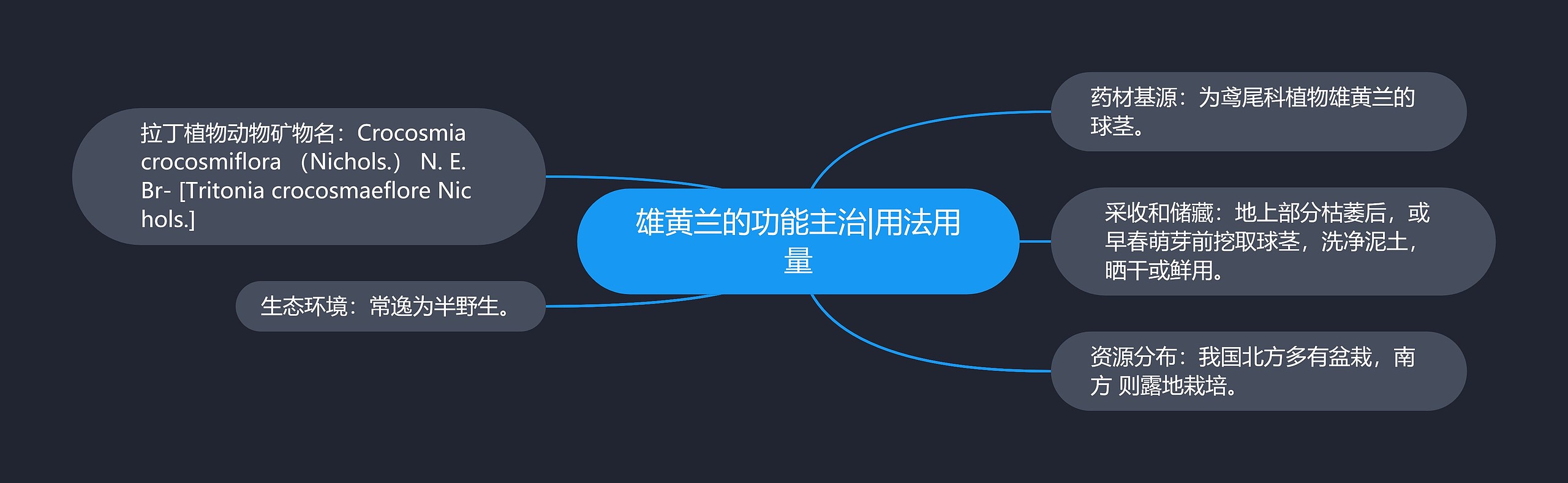 雄黄兰的功能主治|用法用量思维导图