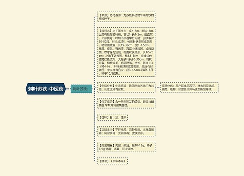 刺叶苏铁-中医药