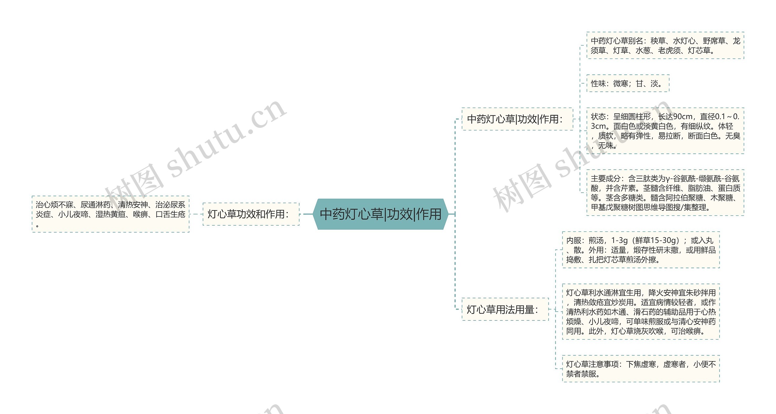 中药灯心草|功效|作用思维导图