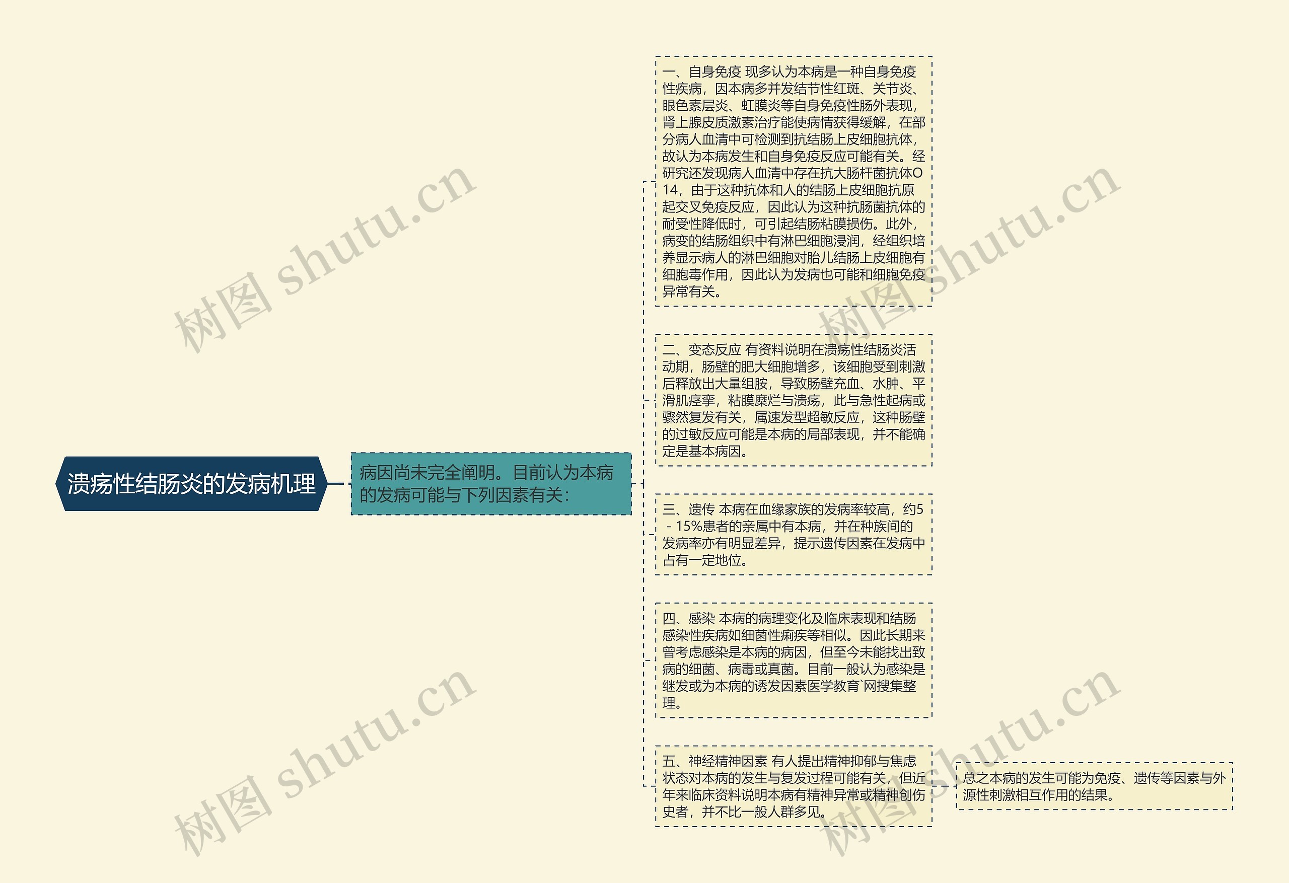 溃疡性结肠炎的发病机理思维导图