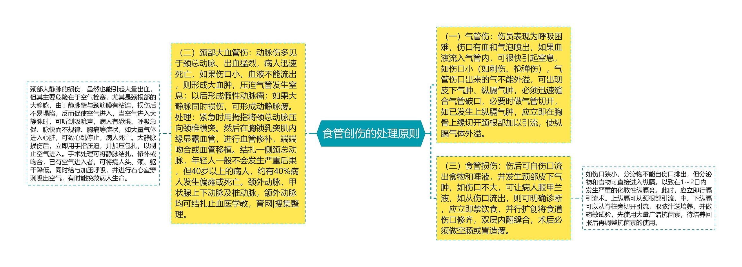 食管创伤的处理原则