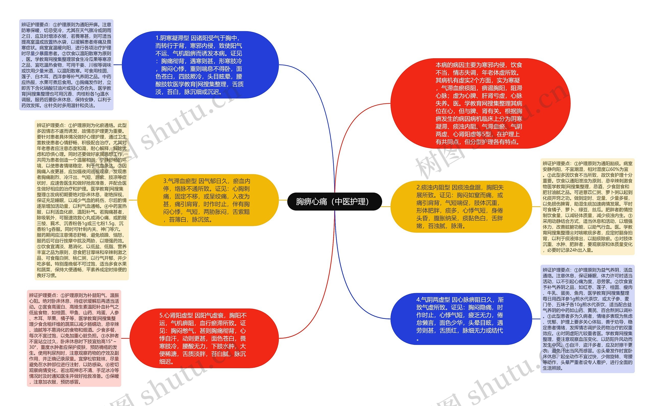 胸痹心痛（中医护理）思维导图