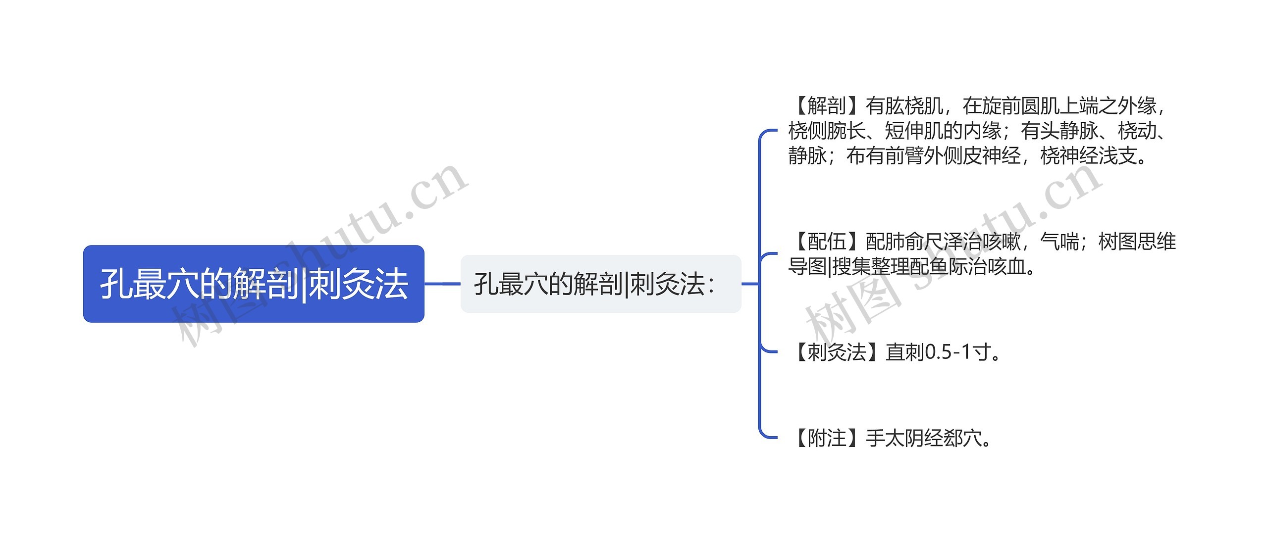 孔最穴的解剖|刺灸法