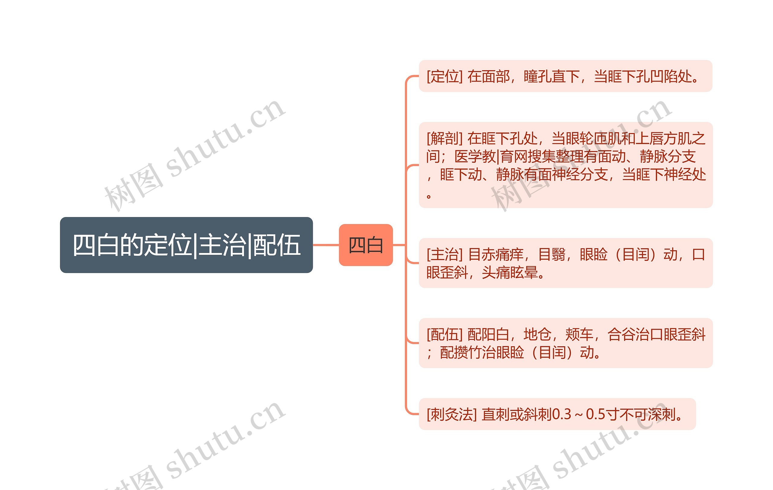 四白的定位|主治|配伍思维导图