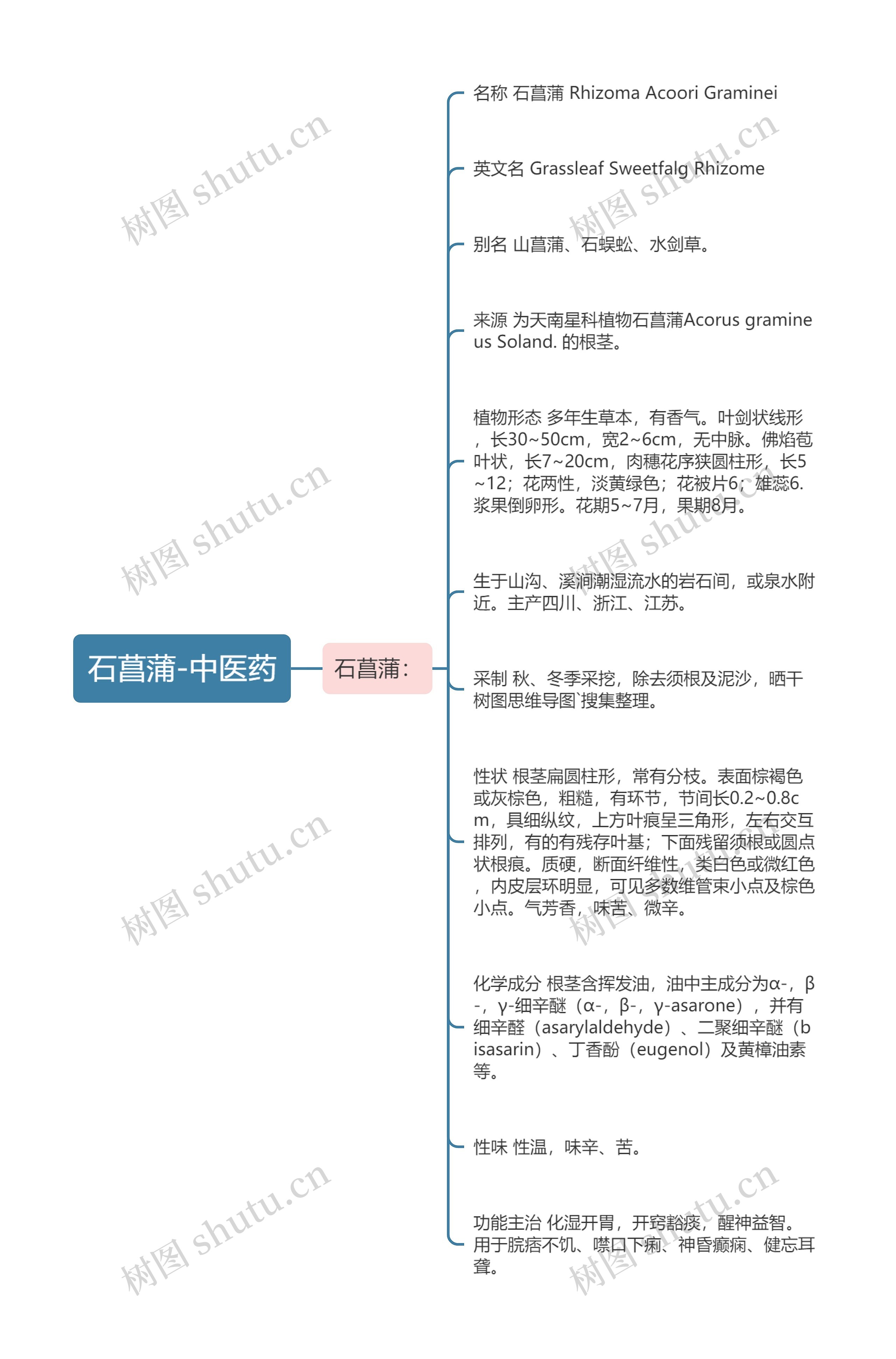 石菖蒲-中医药思维导图