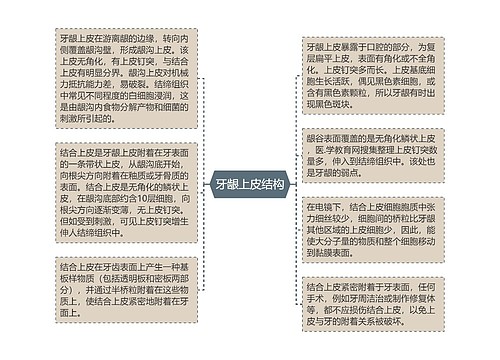 牙龈上皮结构思维导图