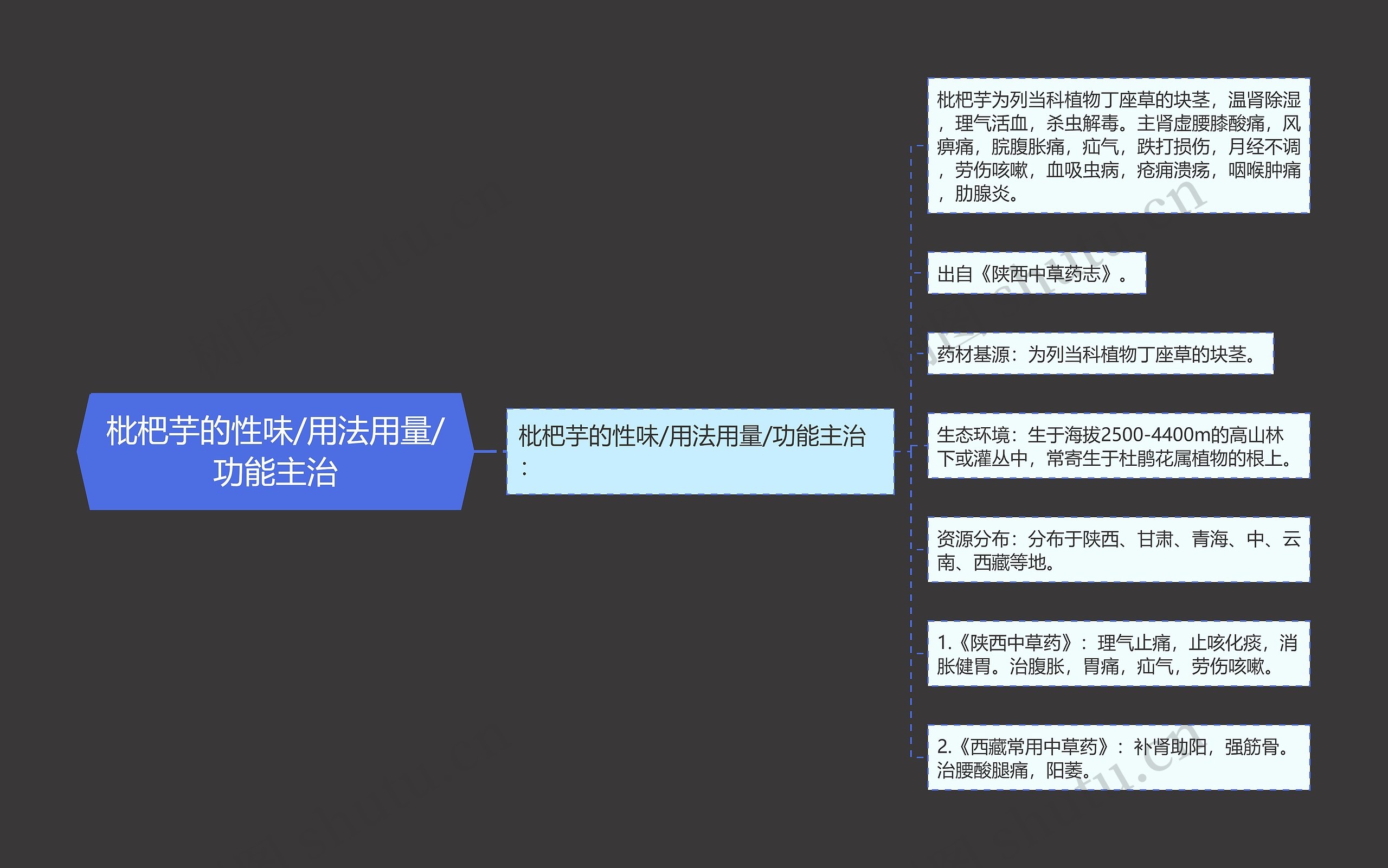 枇杷芋的性味/用法用量/功能主治 枇杷芋的性味/用法用量/功能主治