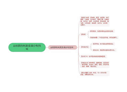 丛枝蓼的来源|生境分布|性味