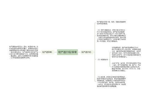 软产道介绍/异常