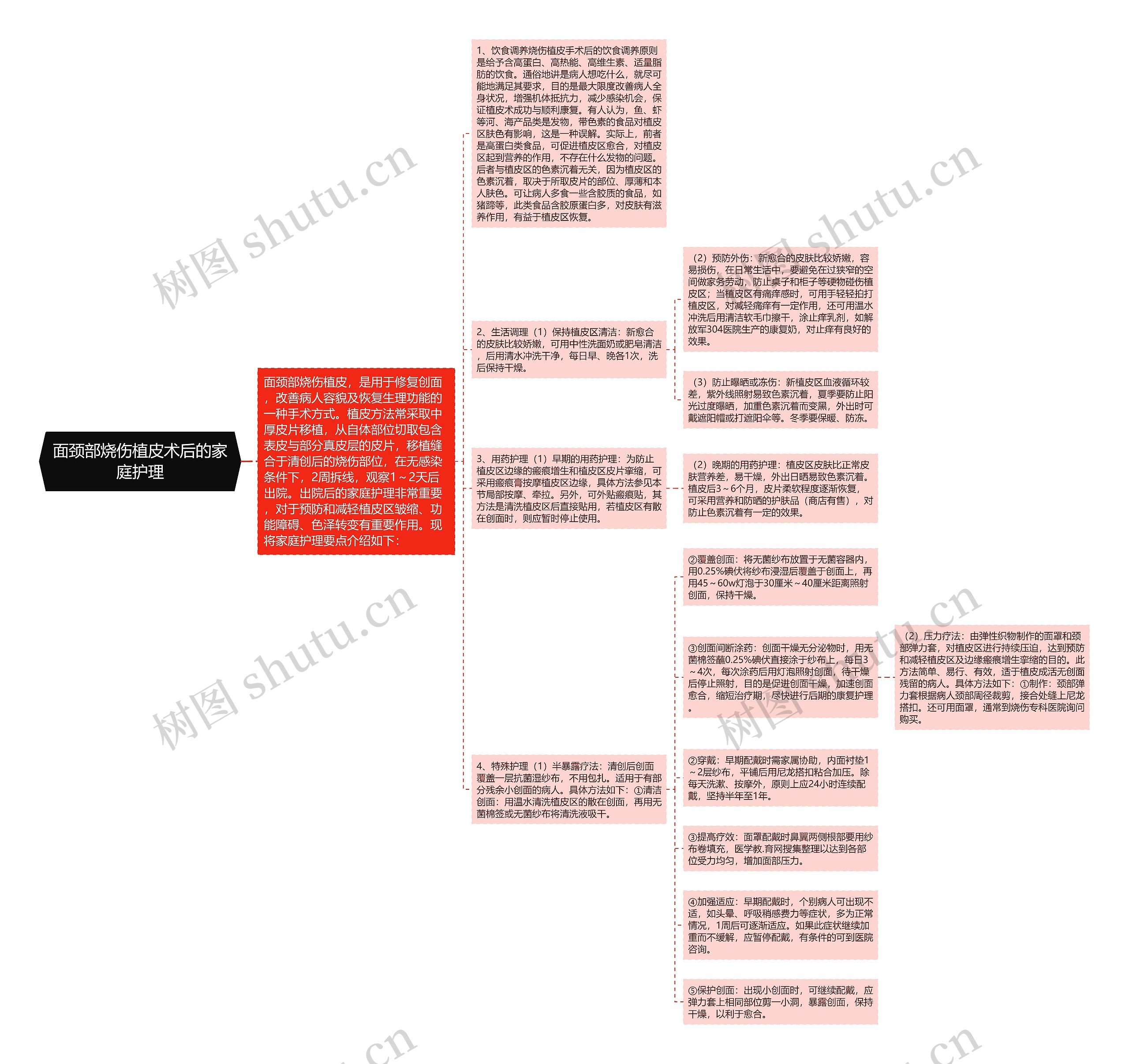 面颈部烧伤植皮术后的家庭护理思维导图