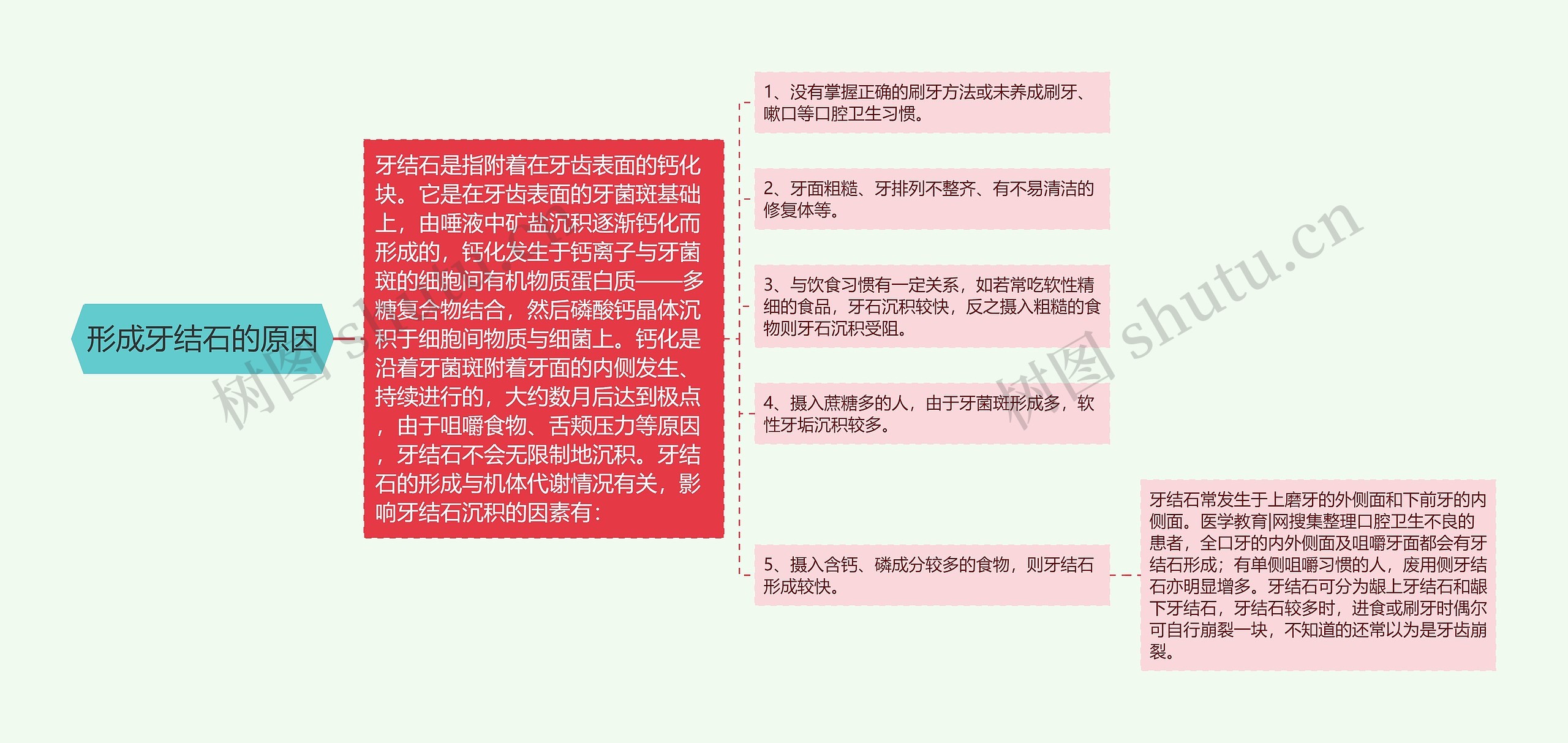 形成牙结石的原因