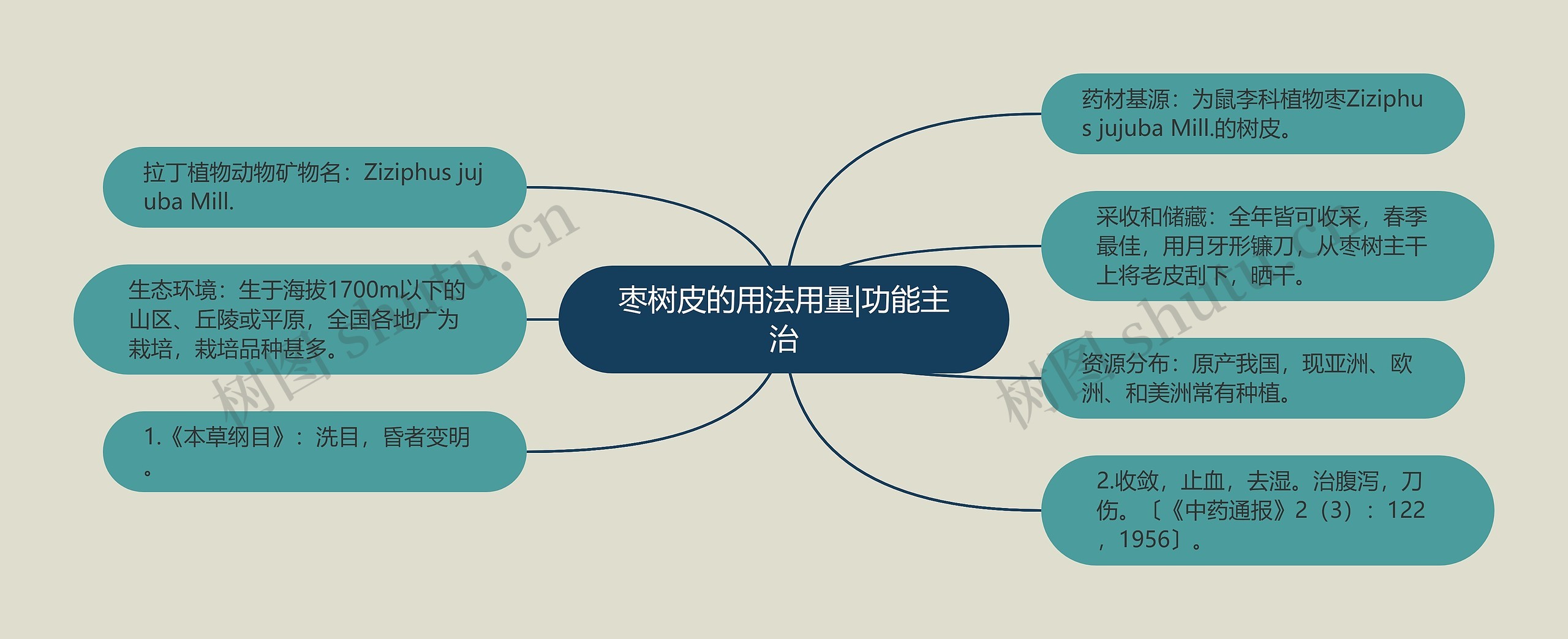 枣树皮的用法用量|功能主治思维导图