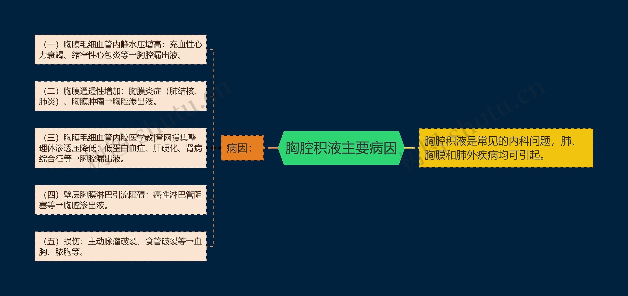 胸腔积液主要病因思维导图