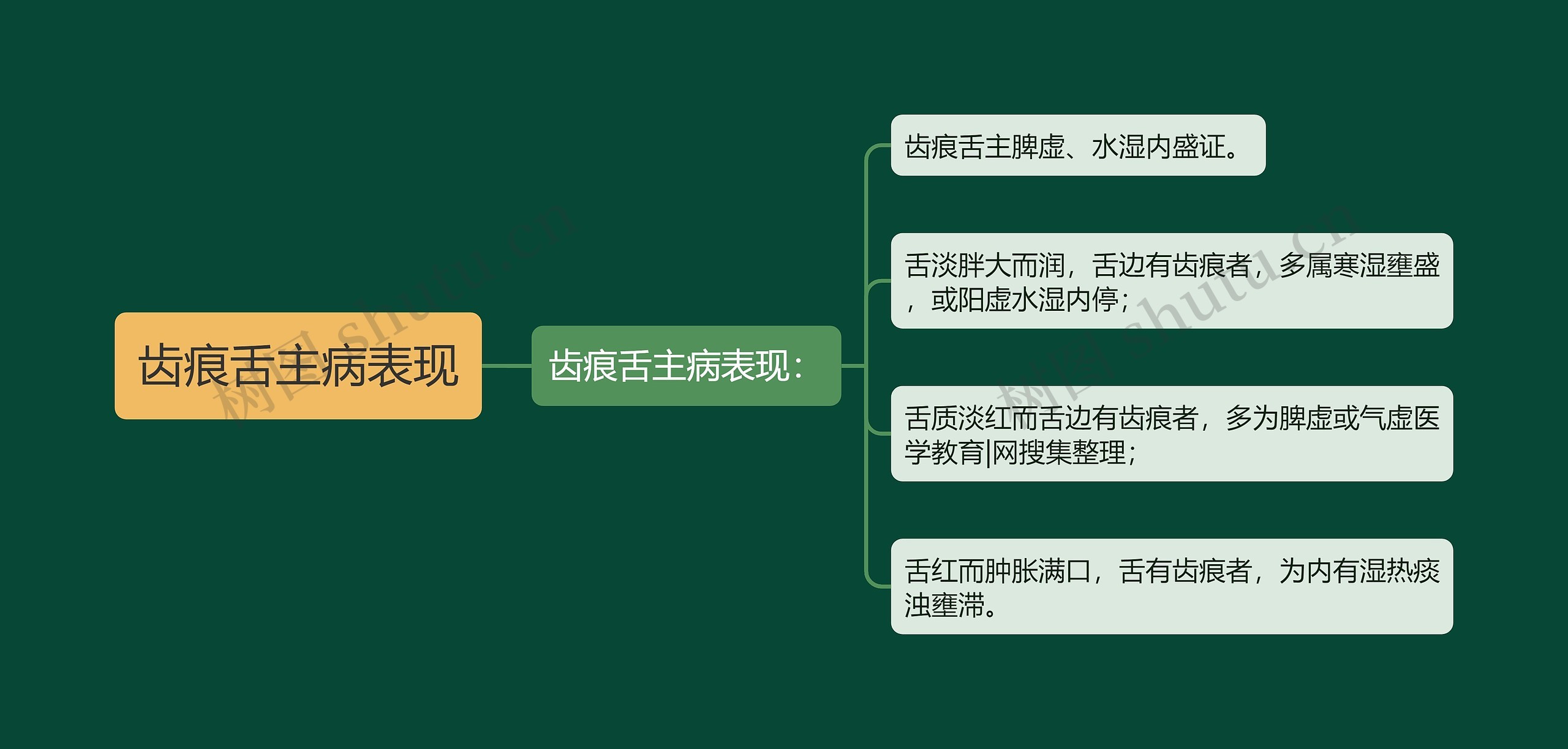 齿痕舌主病表现思维导图