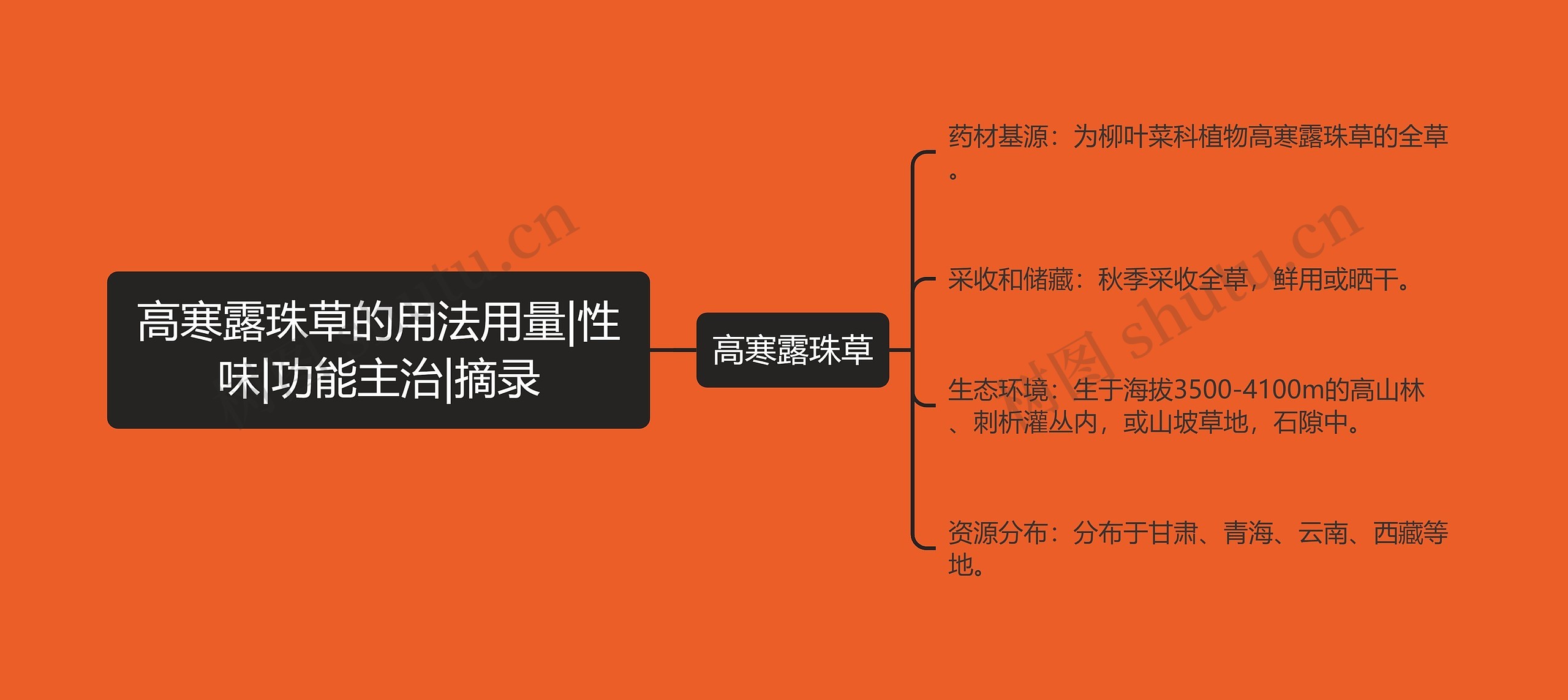 高寒露珠草的用法用量|性味|功能主治|摘录思维导图