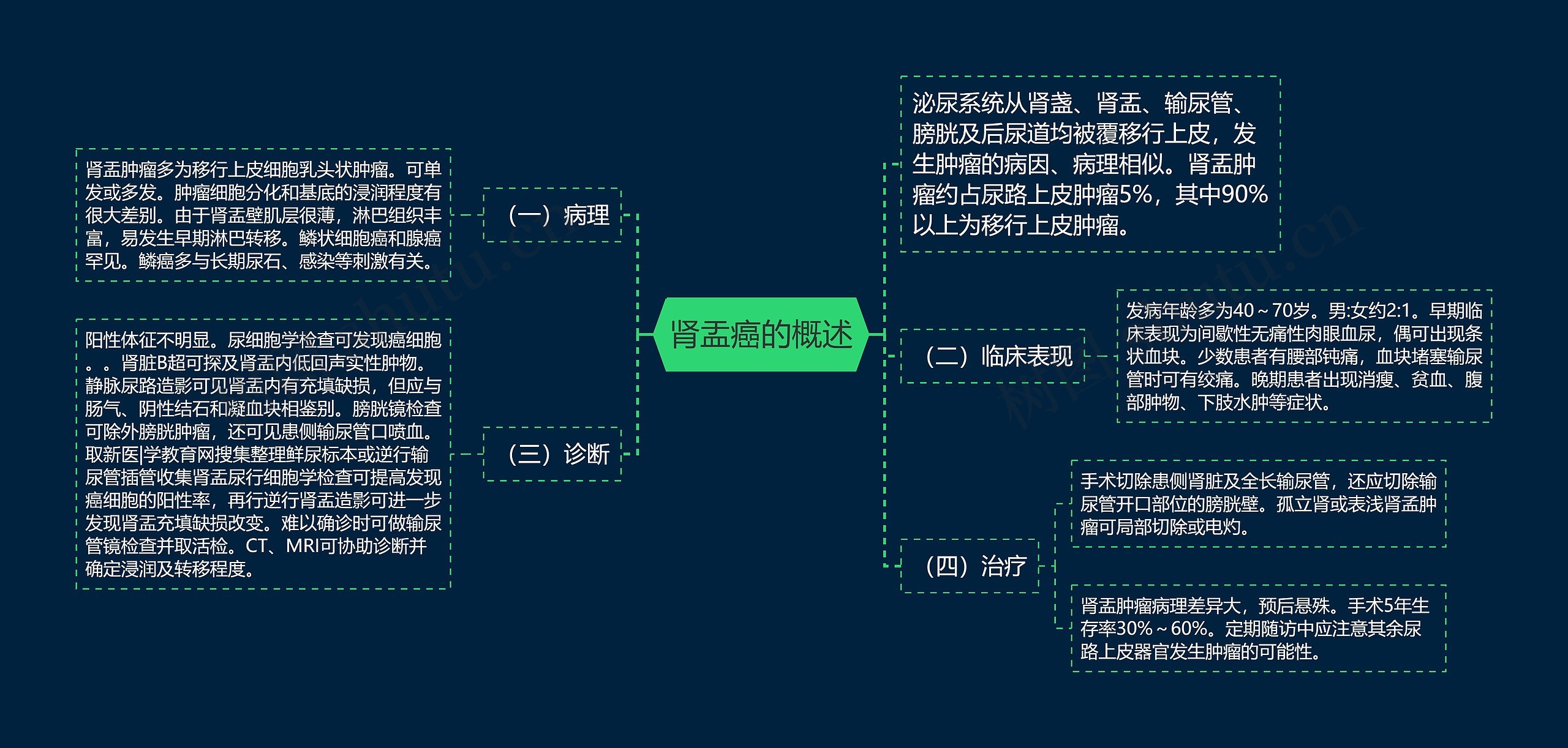 肾盂癌的概述思维导图