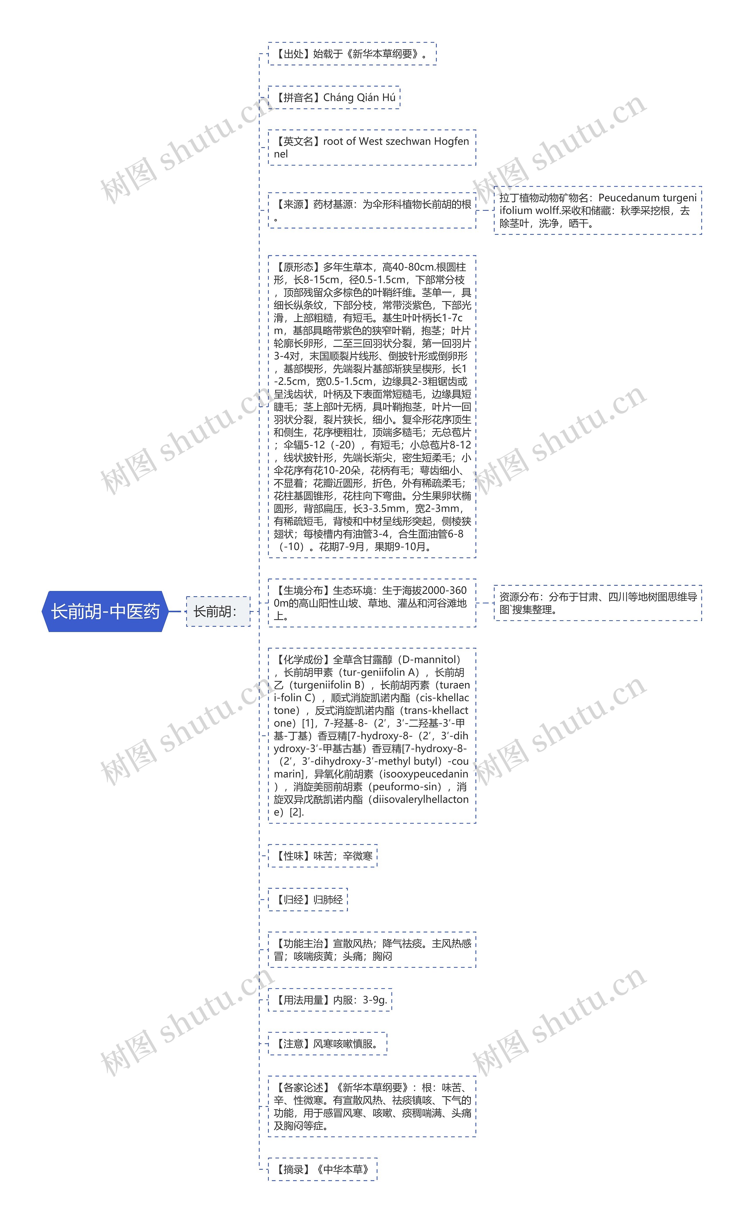 长前胡-中医药思维导图