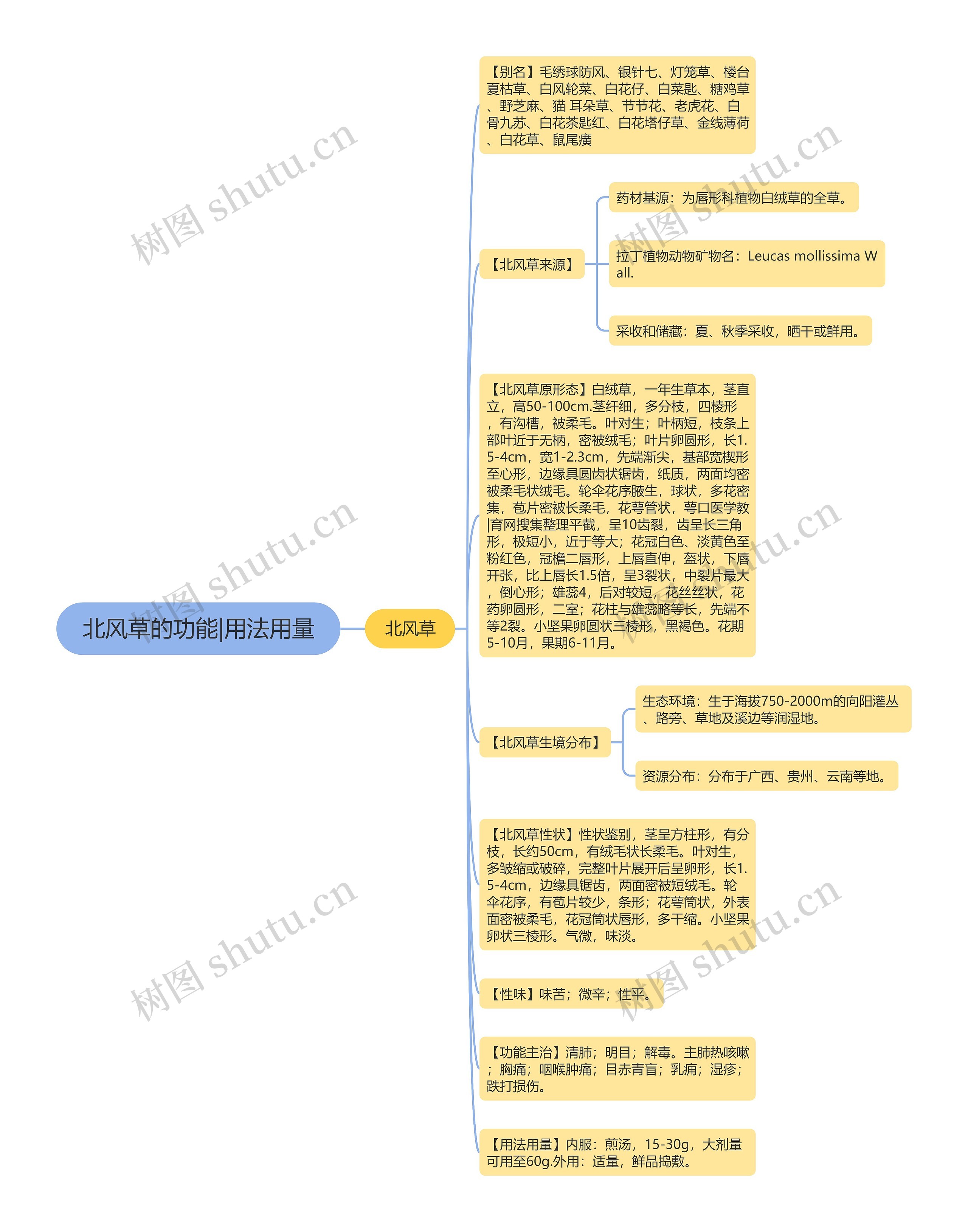 北风草的功能|用法用量思维导图