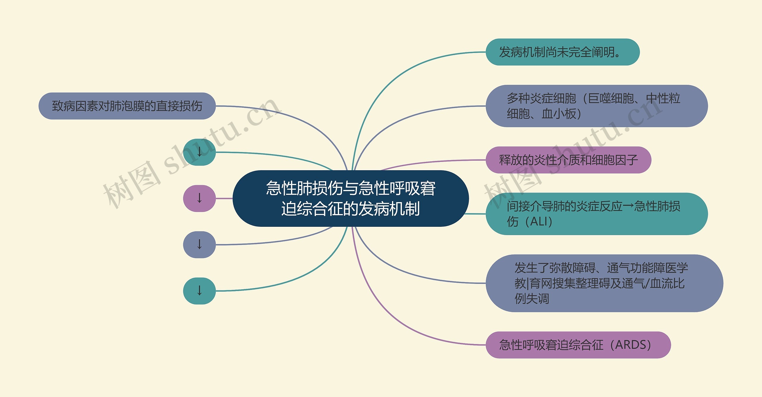 急性肺损伤与急性呼吸窘迫综合征的发病机制