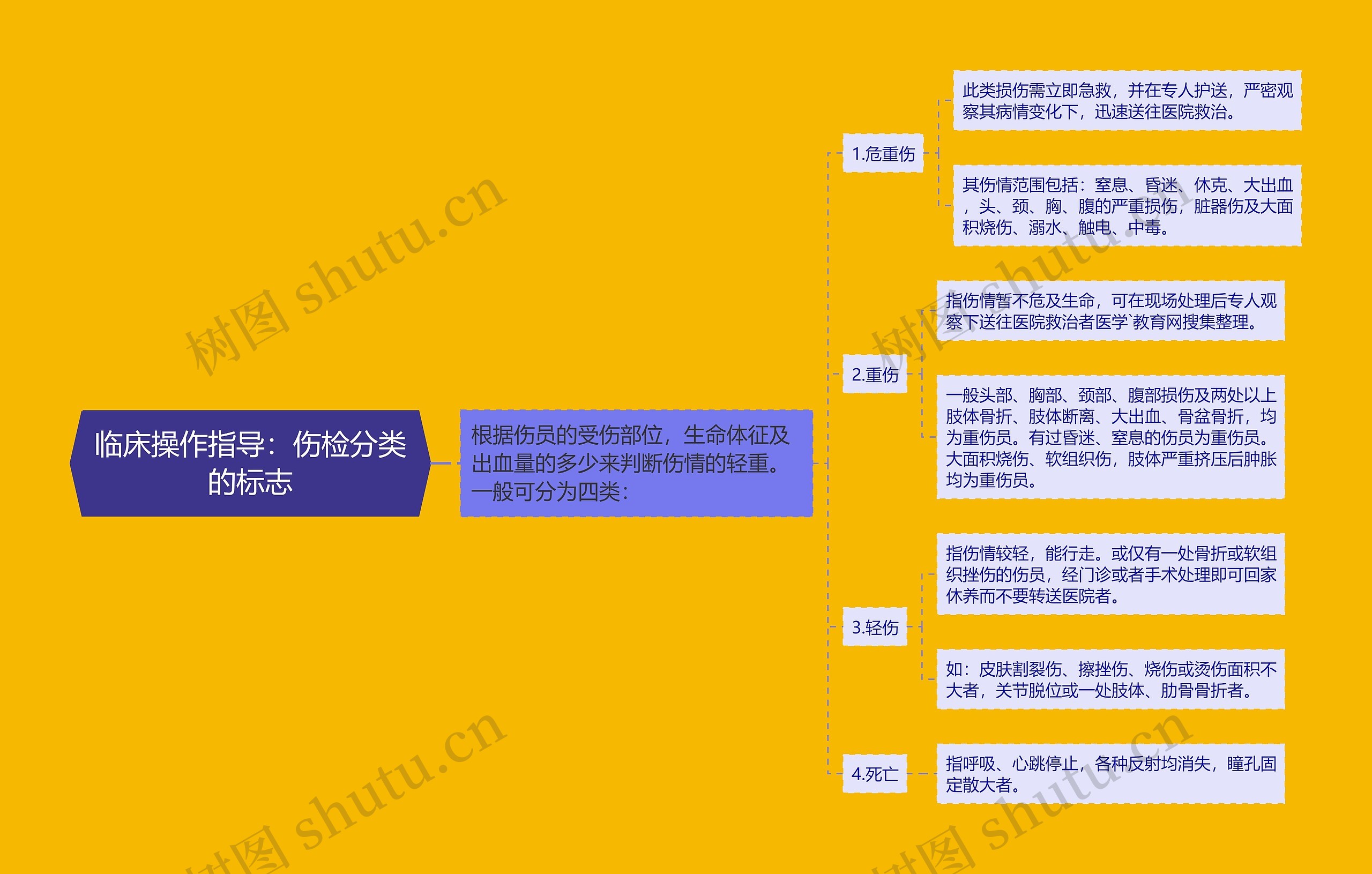 临床操作指导：伤检分类的标志思维导图