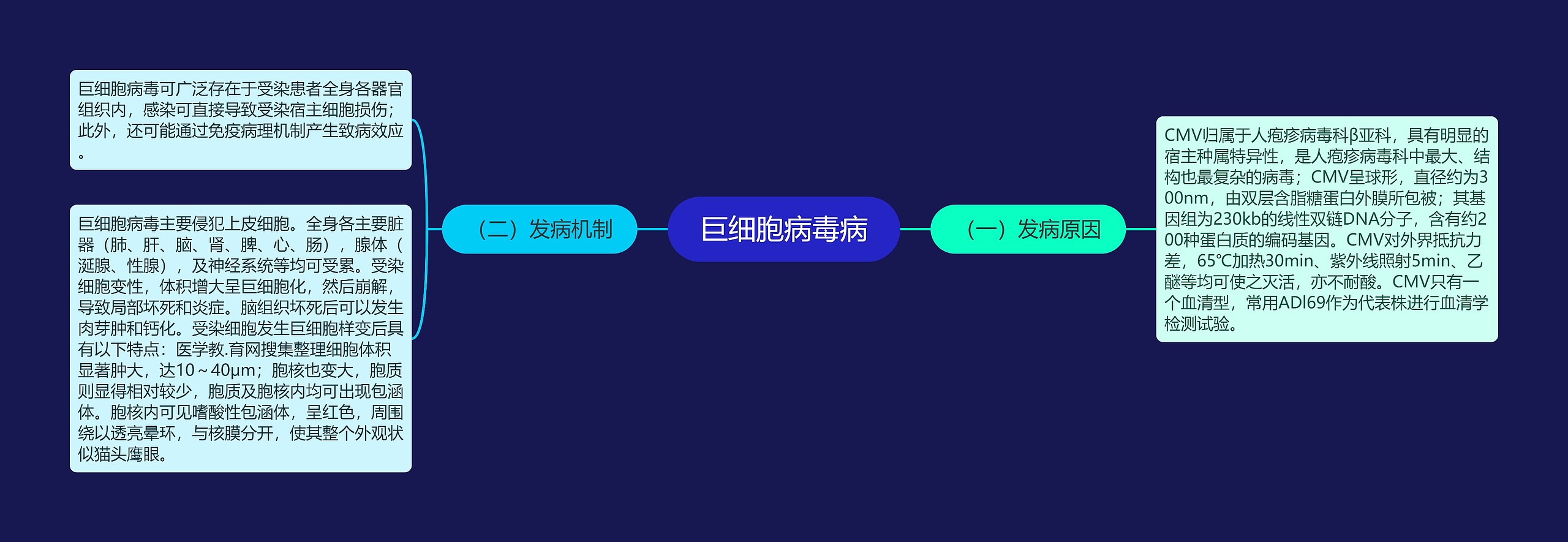 巨细胞病毒病思维导图
