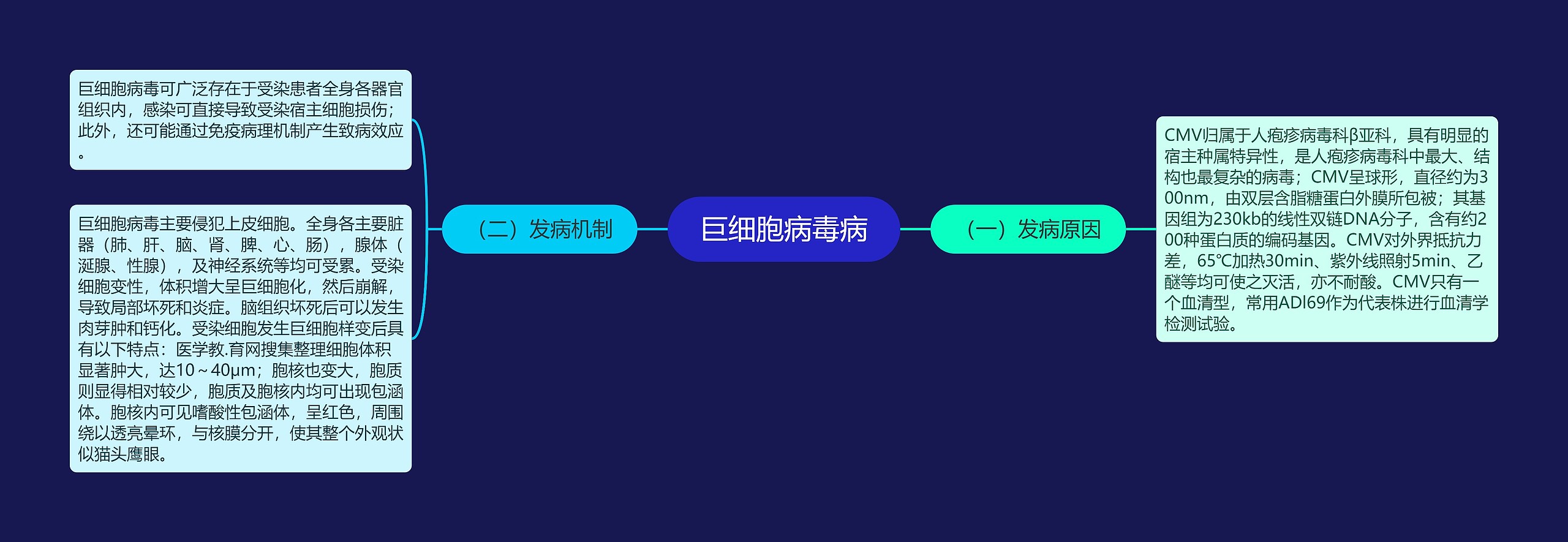 巨细胞病毒病 巨细胞病毒病