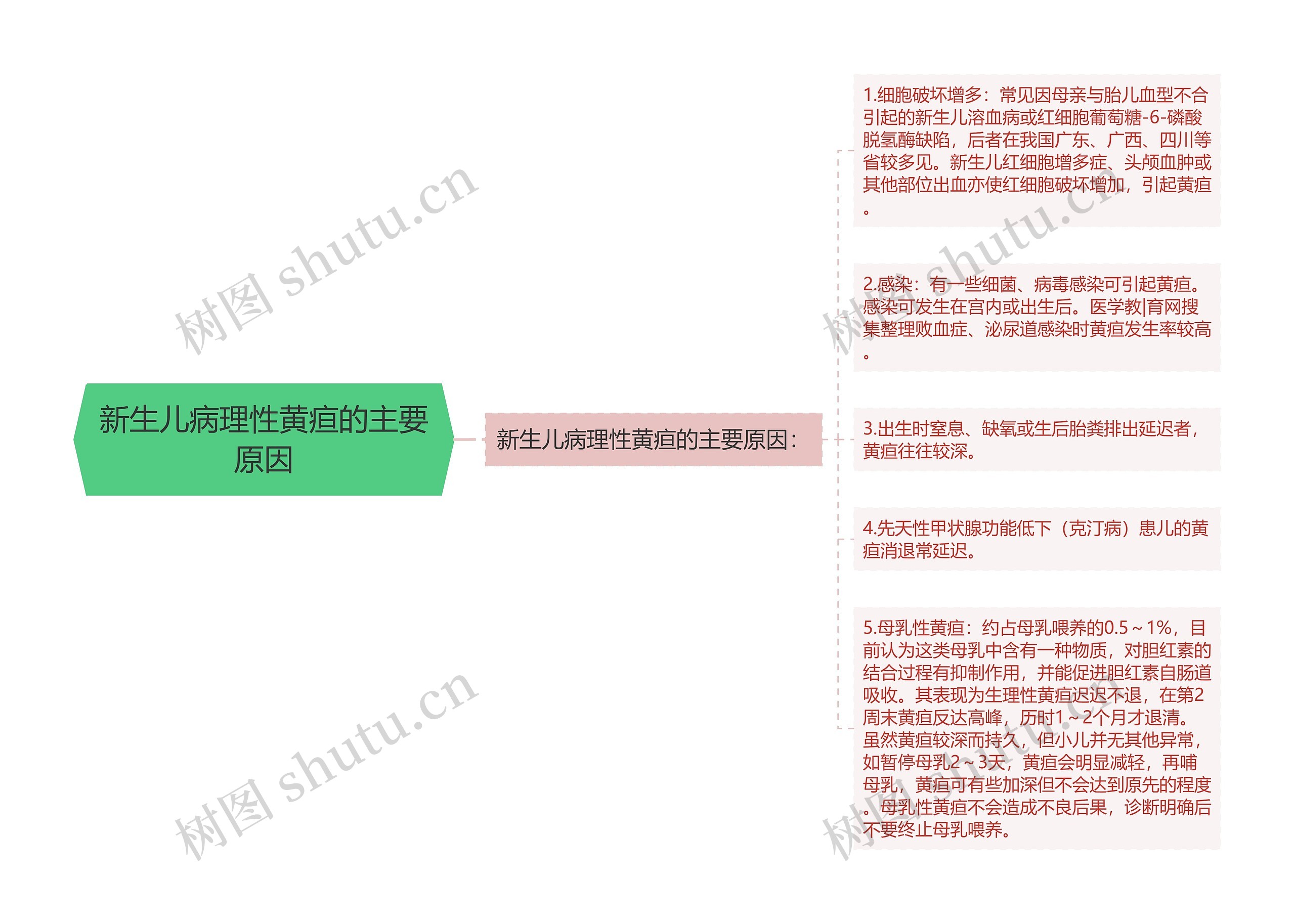 新生儿病理性黄疸的主要原因