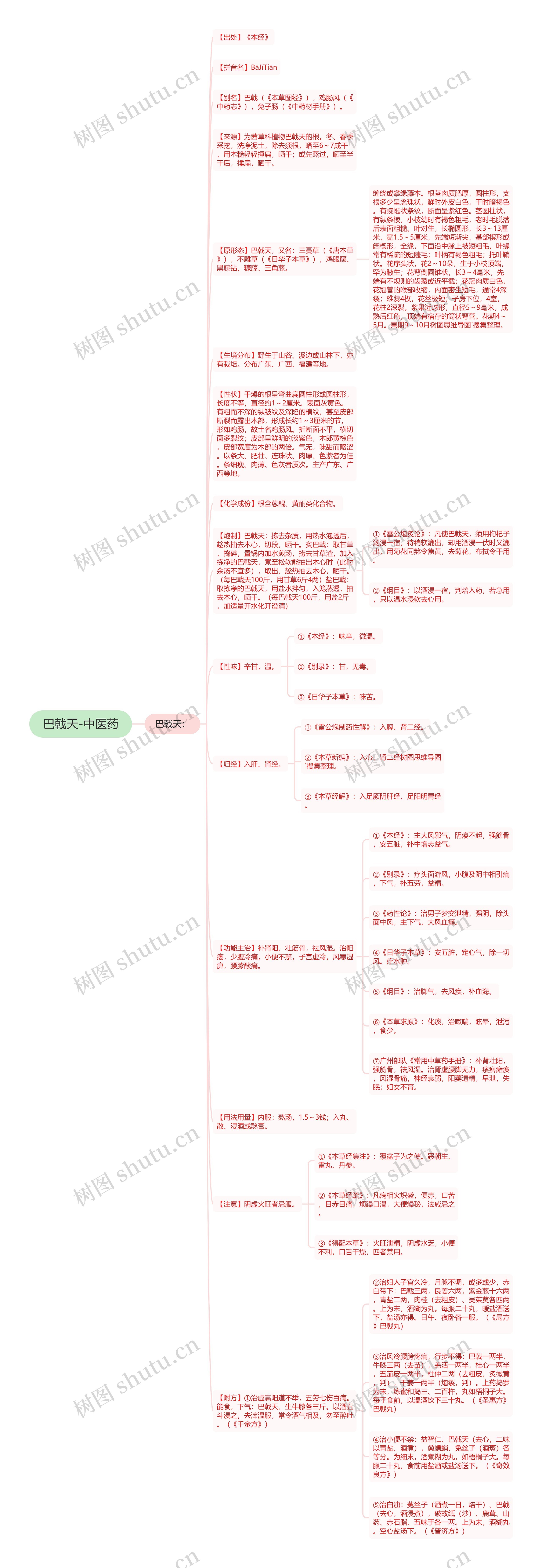 巴戟天-中医药思维导图