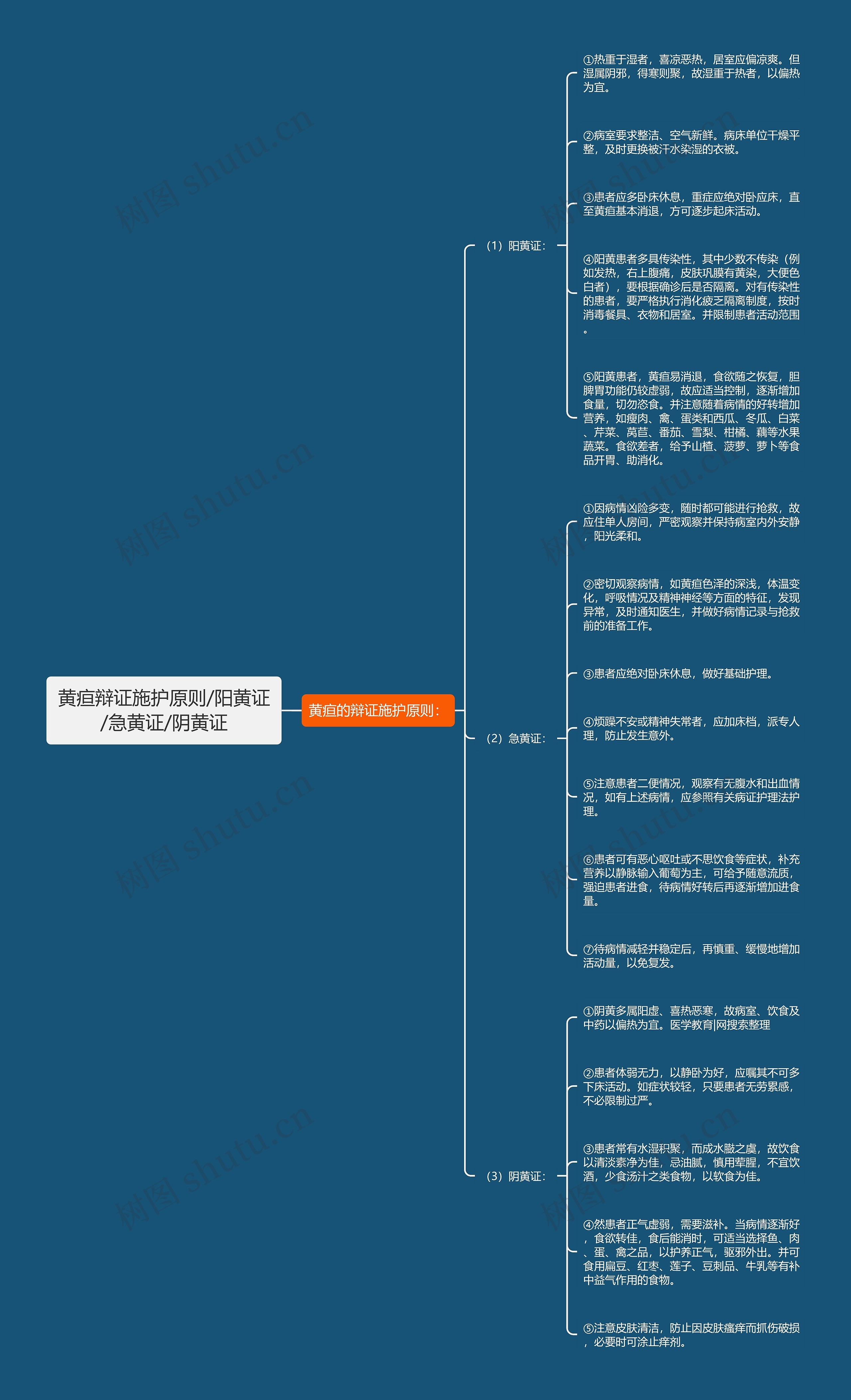 黄疸辩证施护原则/阳黄证/急黄证/阴黄证思维导图