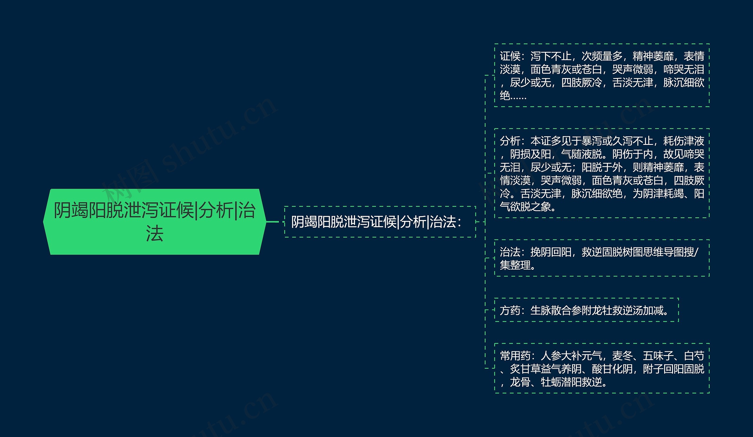 阴竭阳脱泄泻证候|分析|治法思维导图