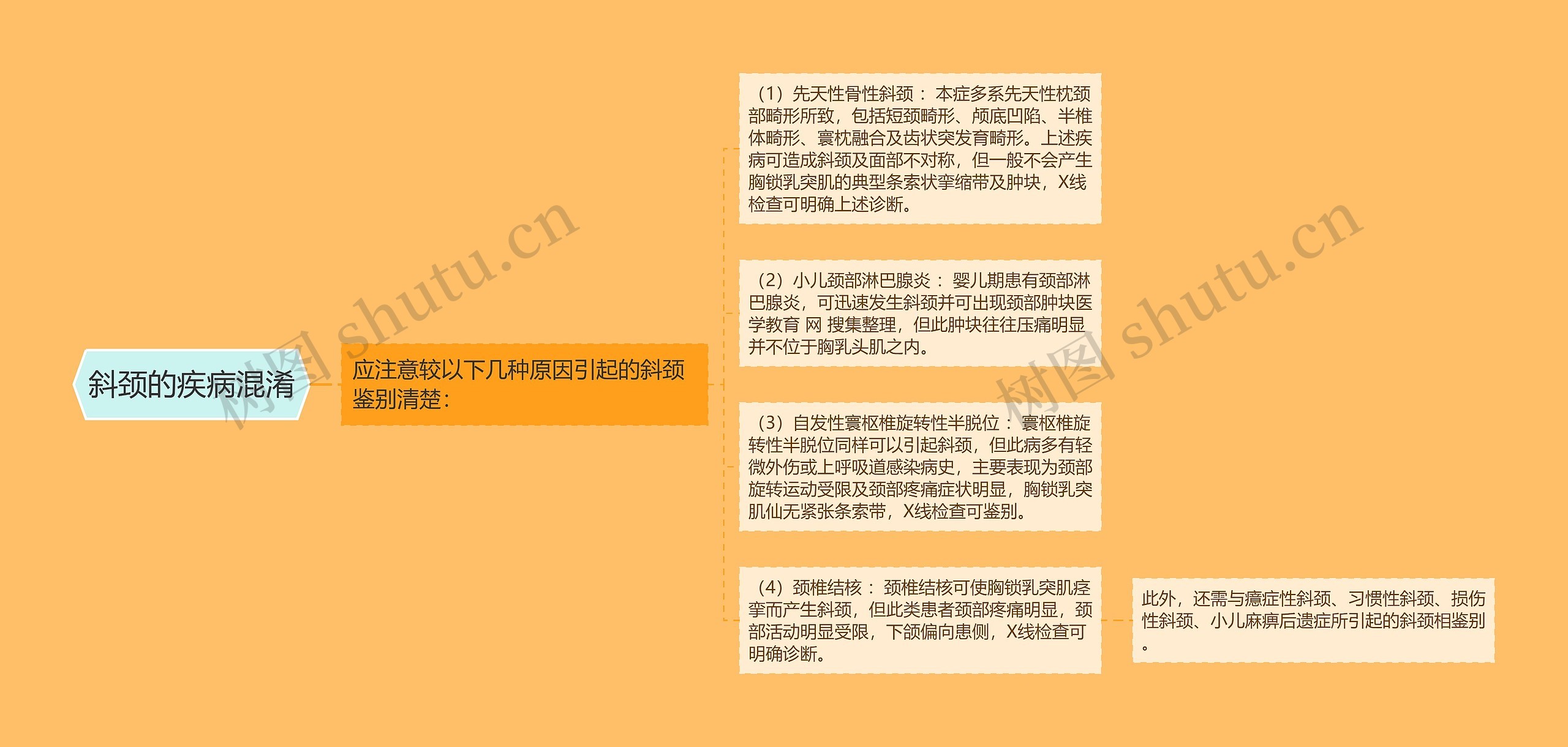 斜颈的疾病混淆 斜颈的疾病混淆