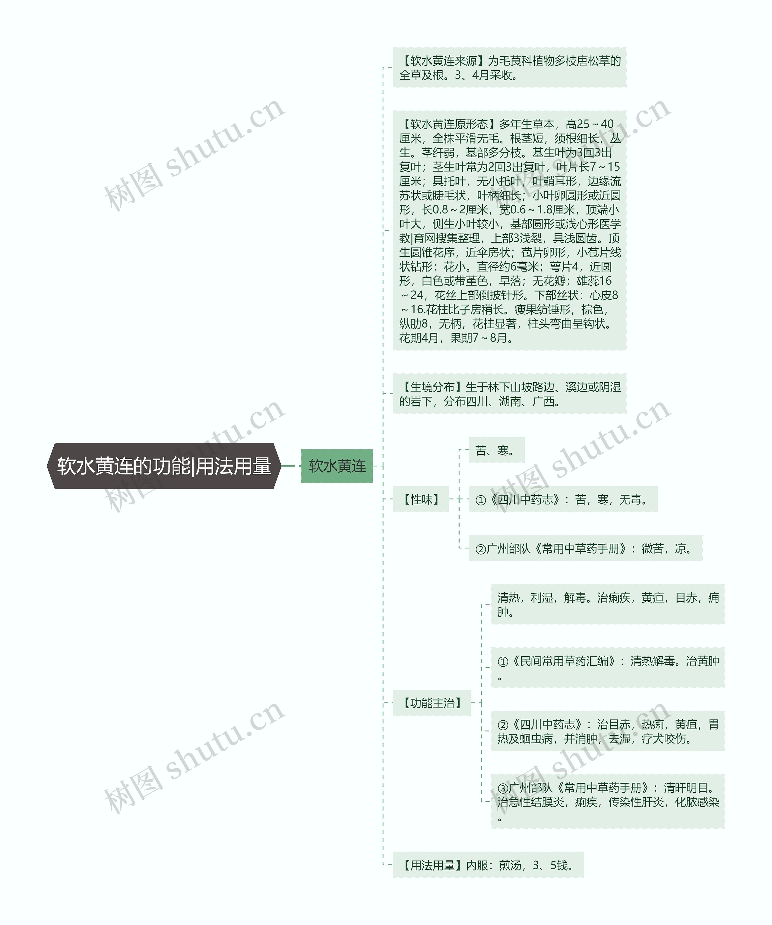 软水黄连的功能|用法用量