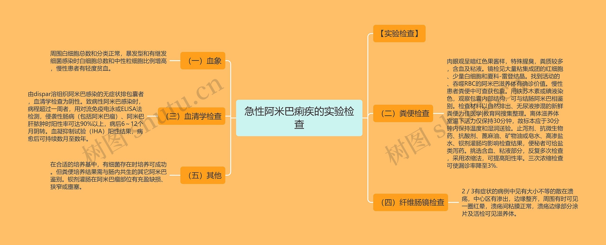 急性阿米巴痢疾的实验检查思维导图