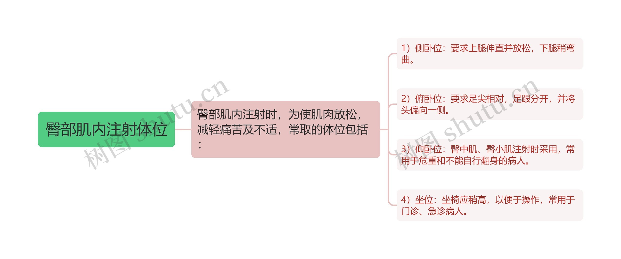 臀部肌内注射体位