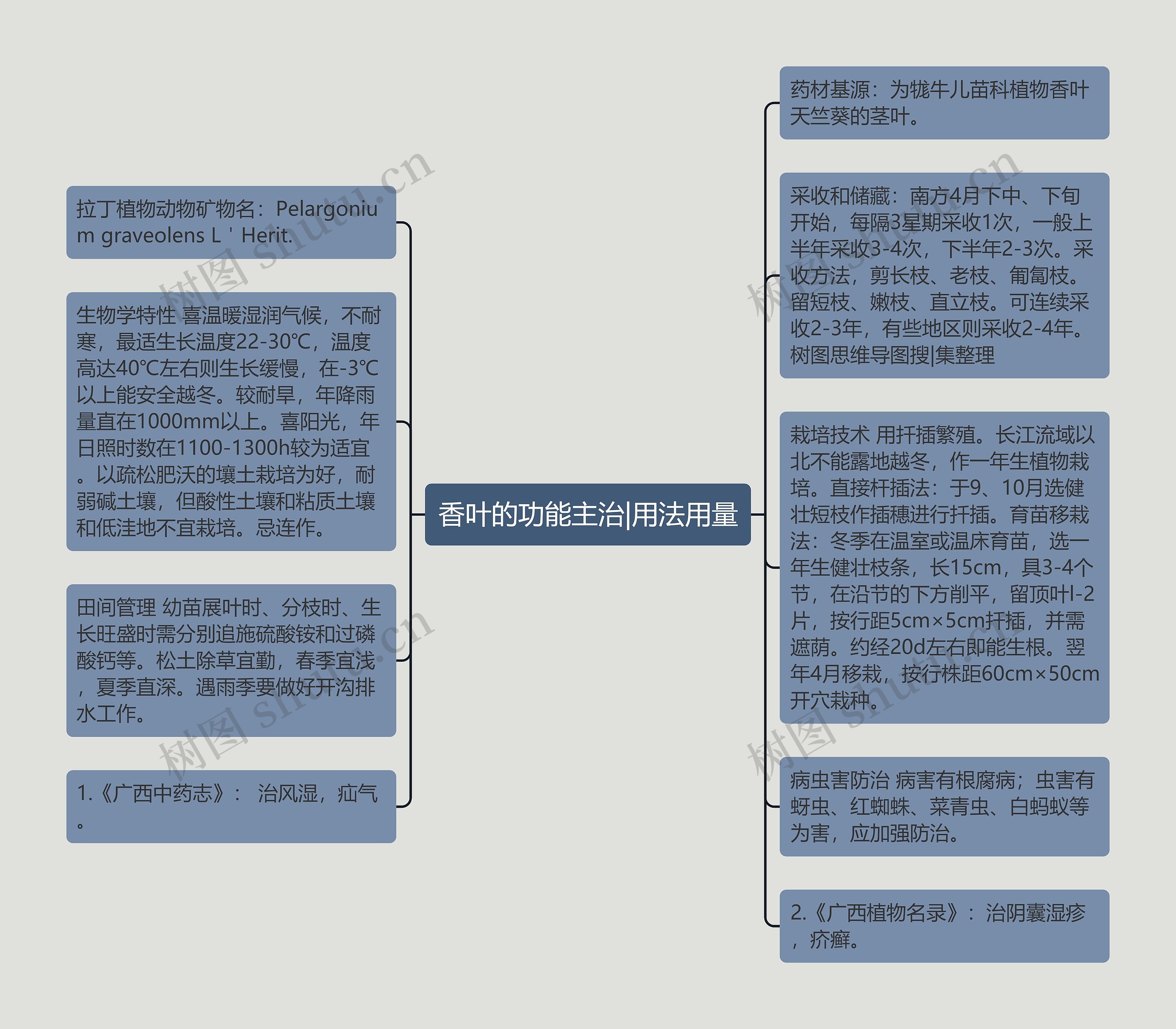 香叶的功能主治|用法用量