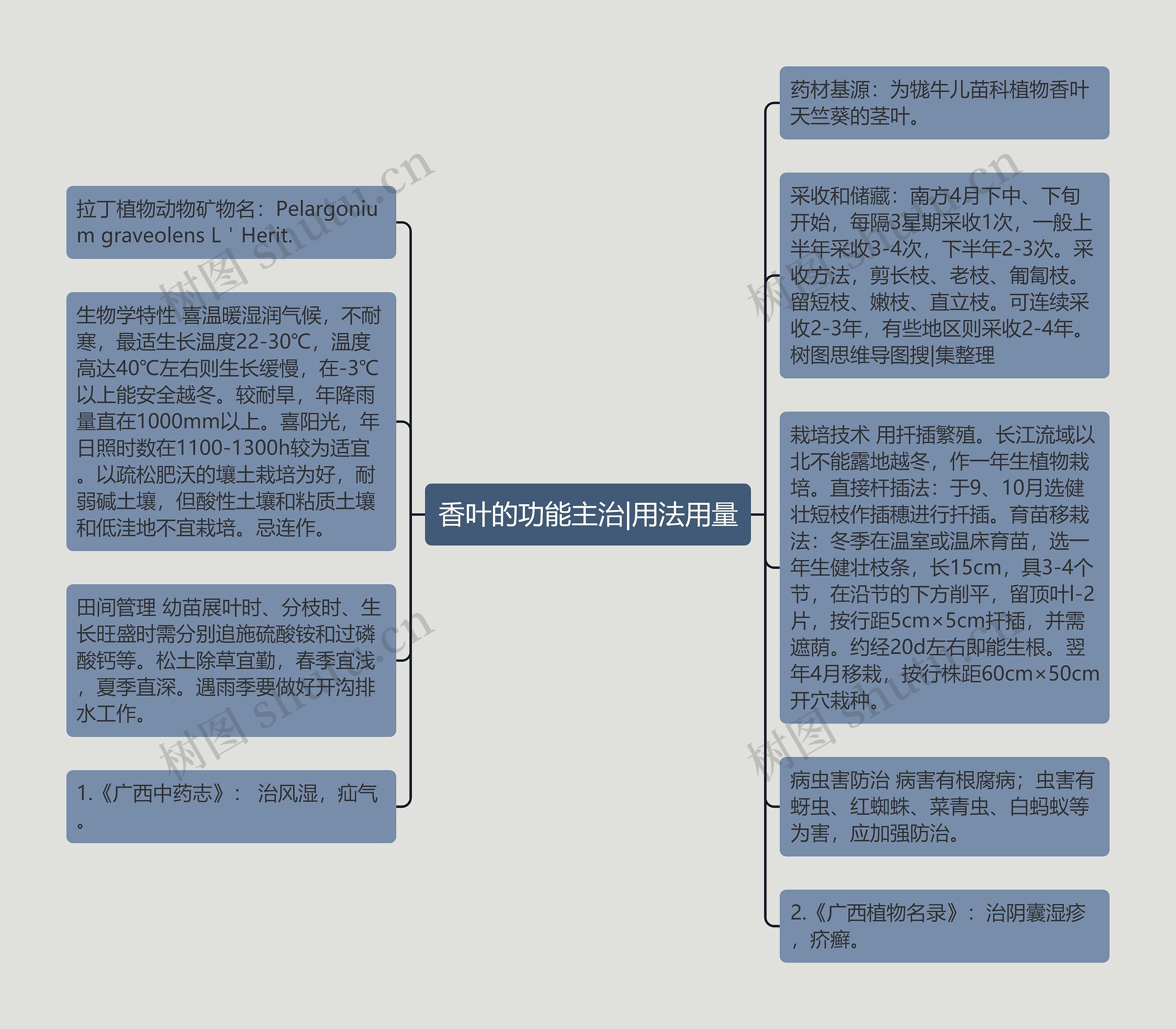 香叶的功能主治|用法用量思维导图