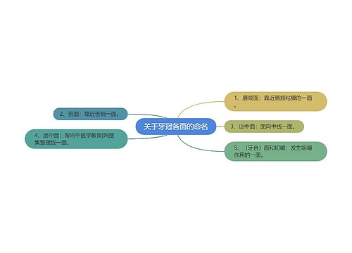 关于牙冠各面的命名