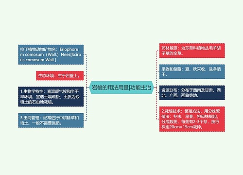 岩梭的用法用量|功能主治