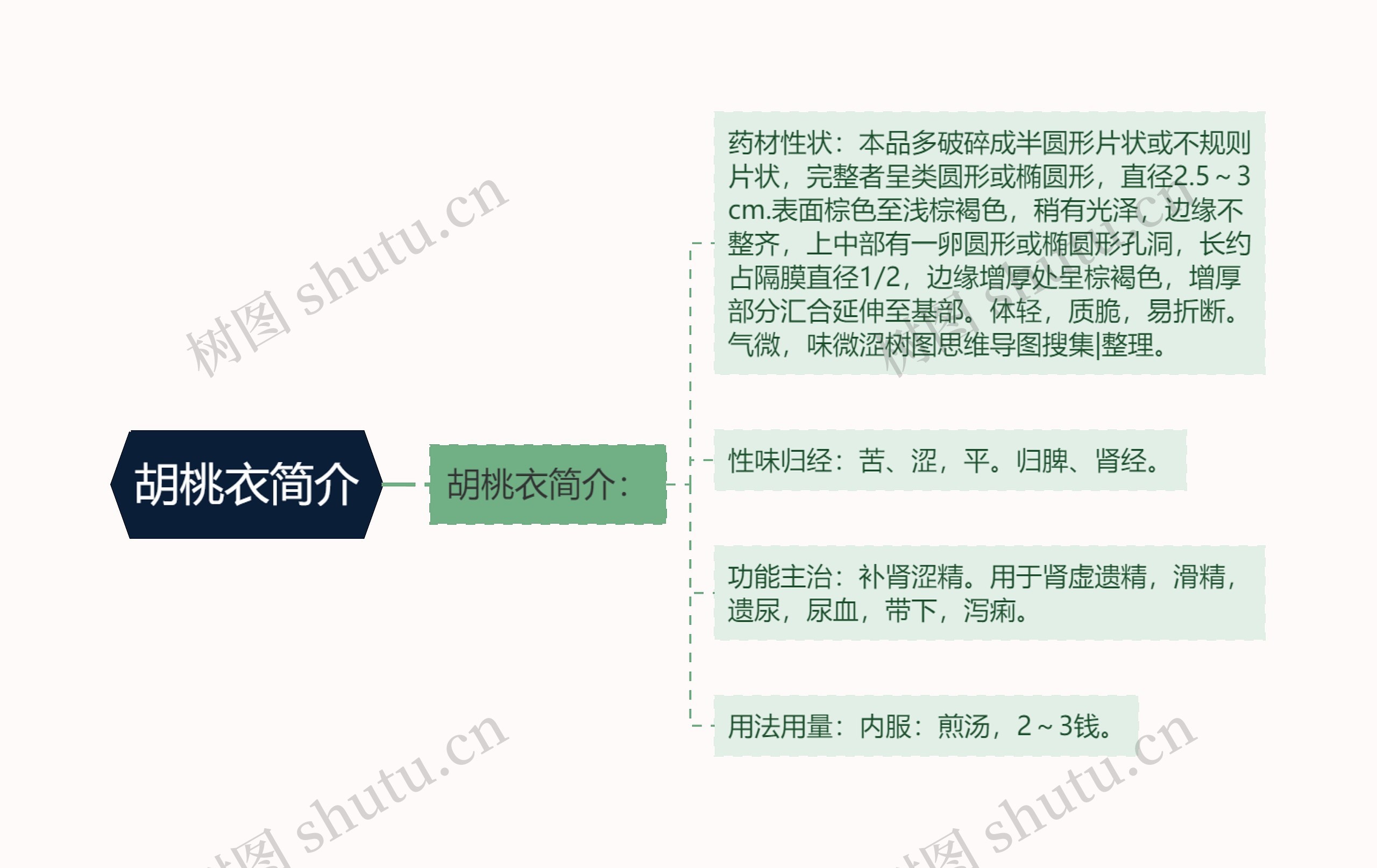 胡桃衣简介