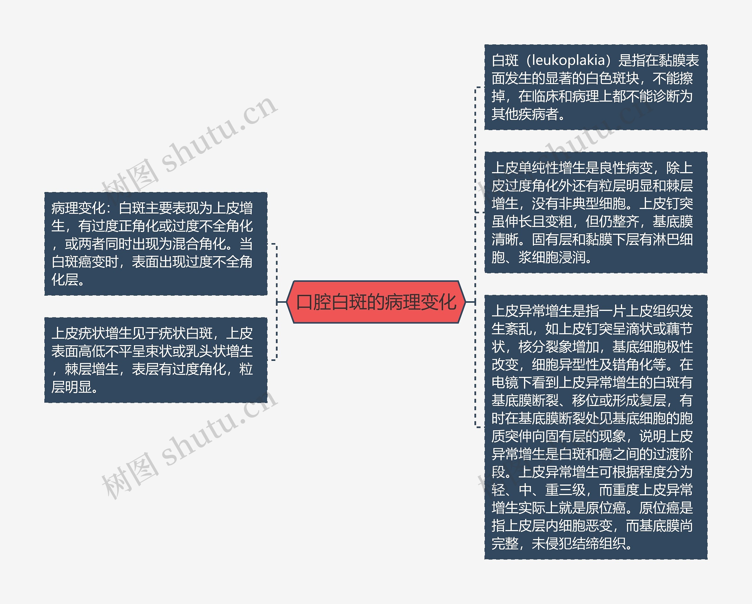 口腔白斑的病理变化思维导图