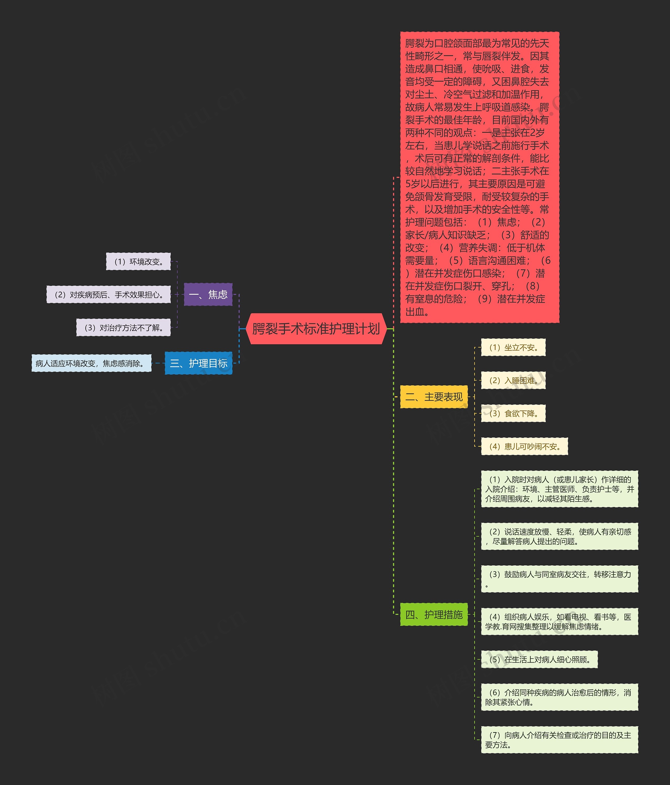 腭裂手术标准护理计划思维导图